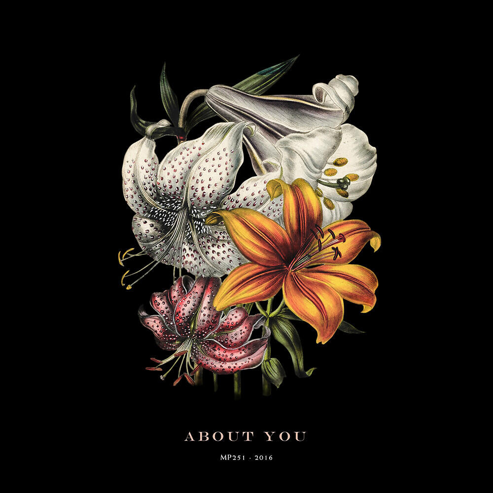 Hola A Todo El Mundo - About You