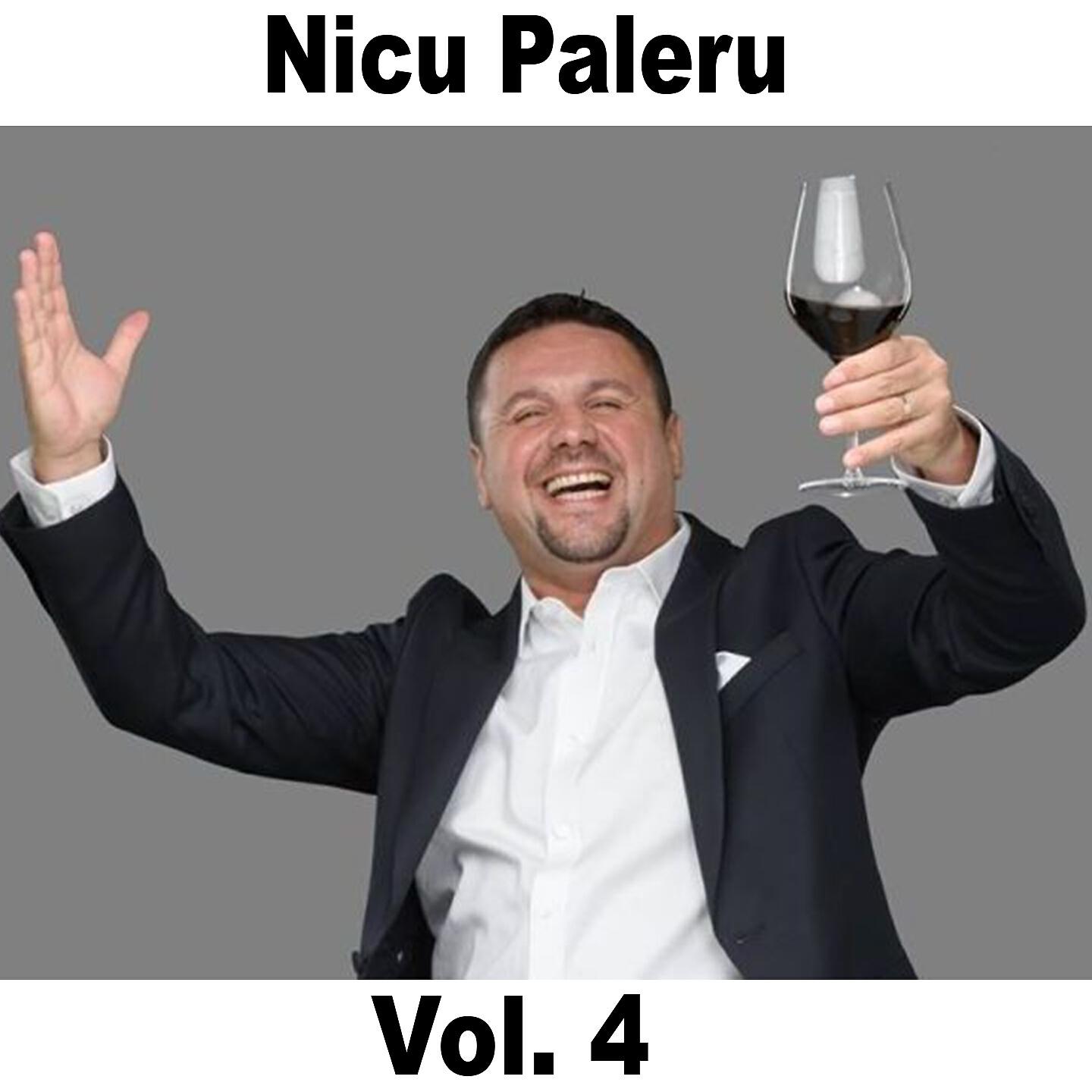 Nicu Paleru - Dadui Cu Securea-N Lemne