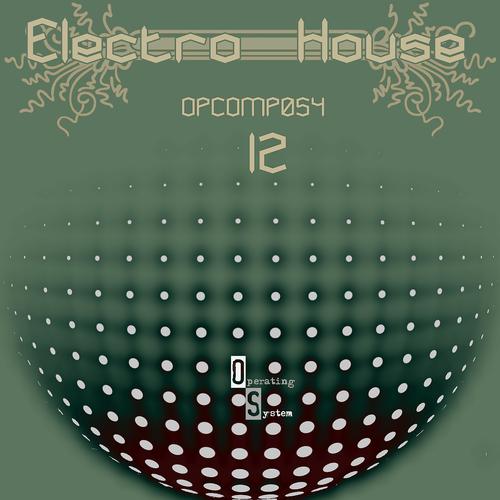 Постер альбома Electro House 12