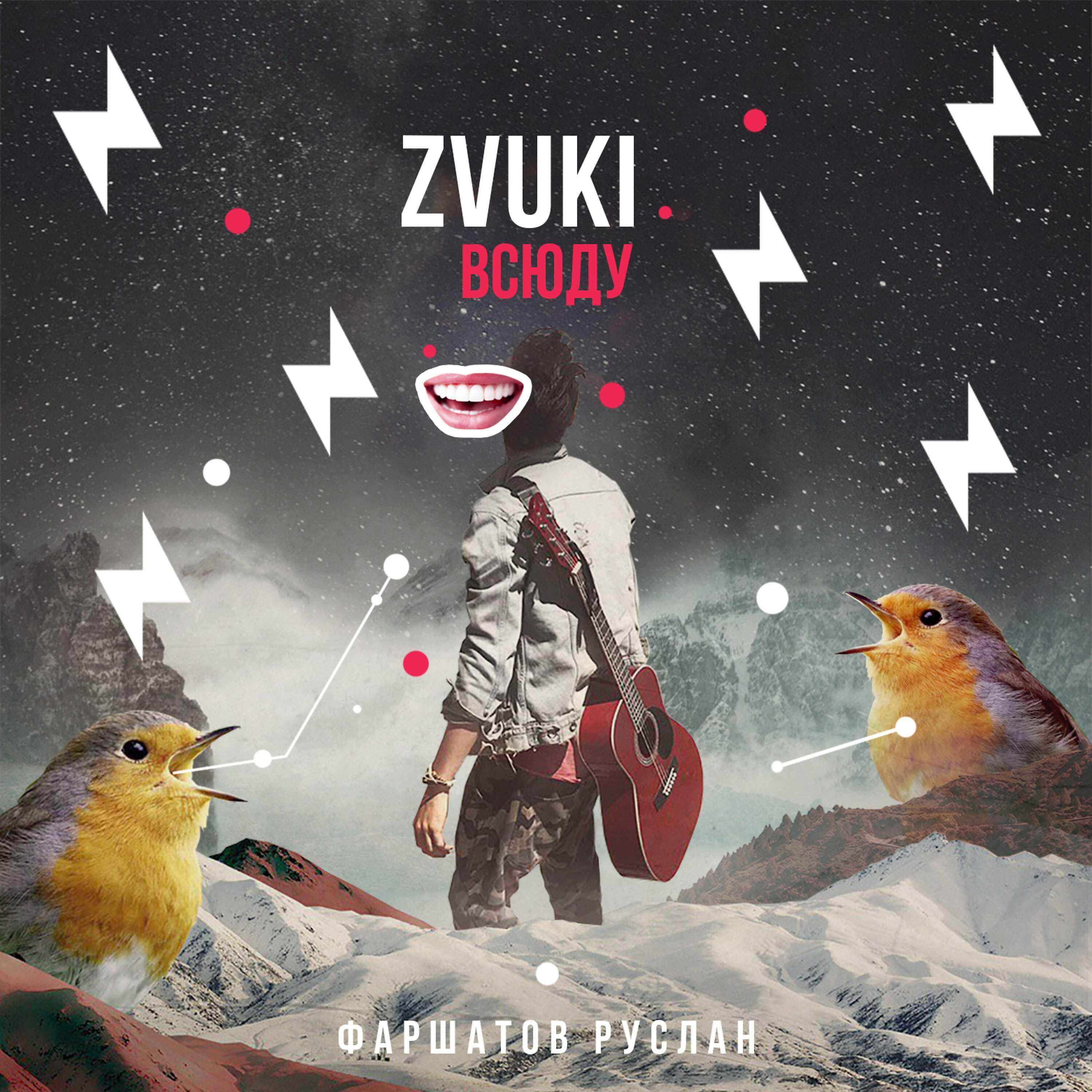 Постер альбома Zvuki всюду