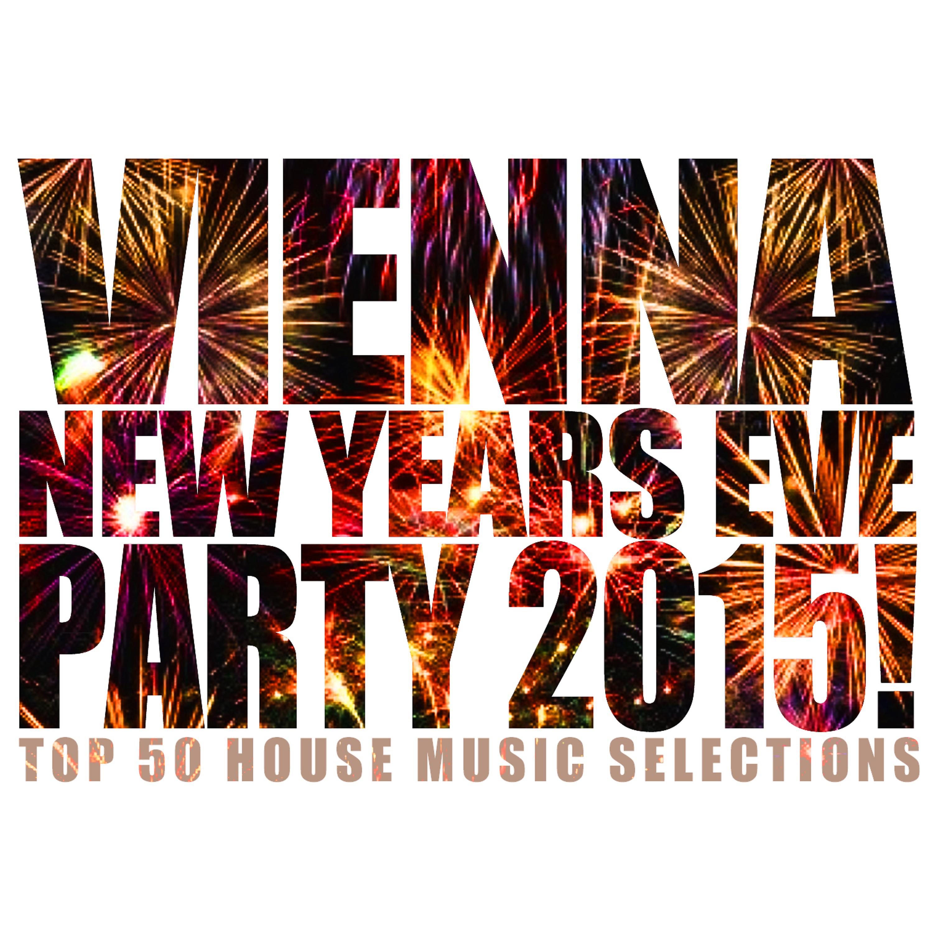 Постер альбома Vienna New Years Eve Party 2015!