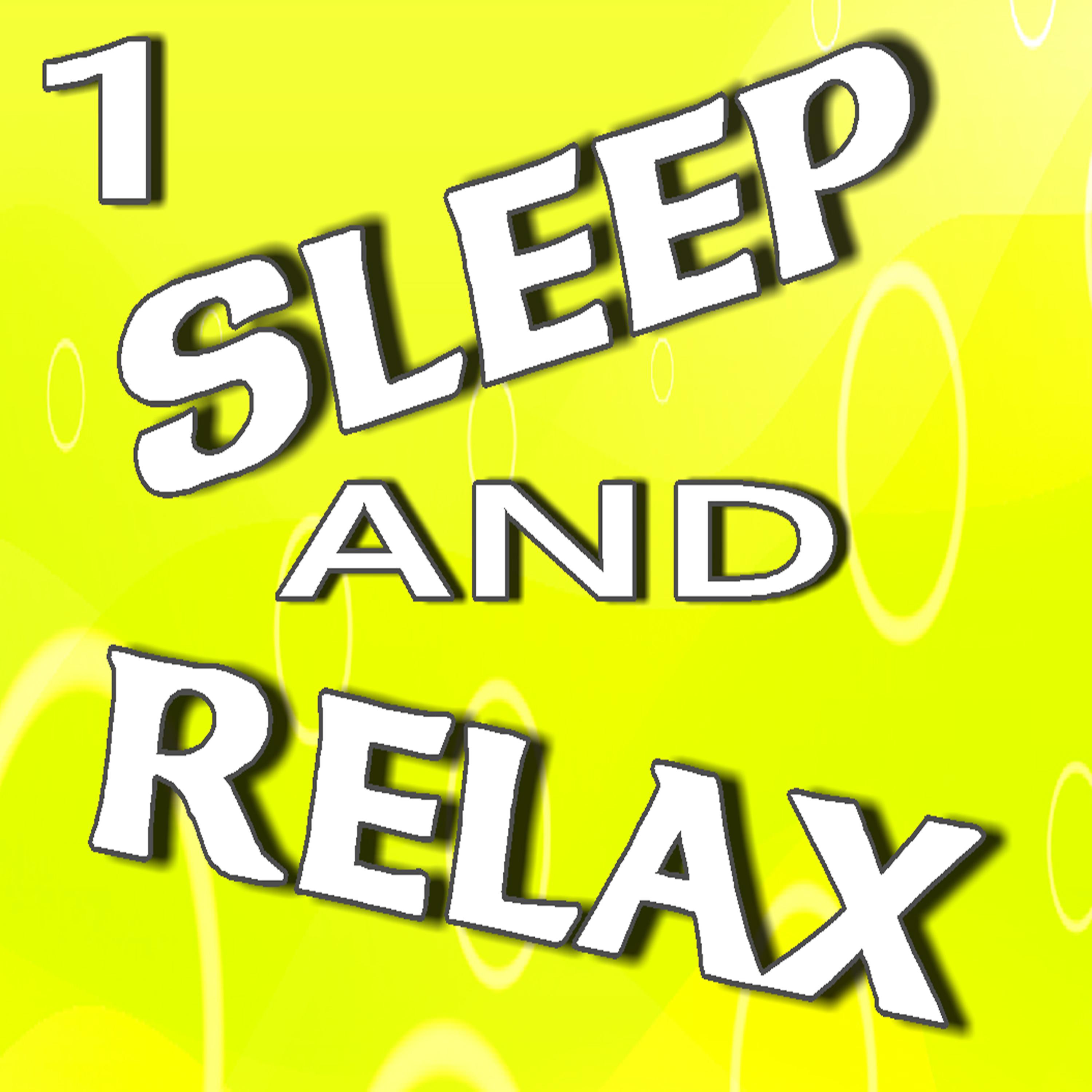 Постер альбома Sleep and Relax, Vol. 1 (Instrumental)