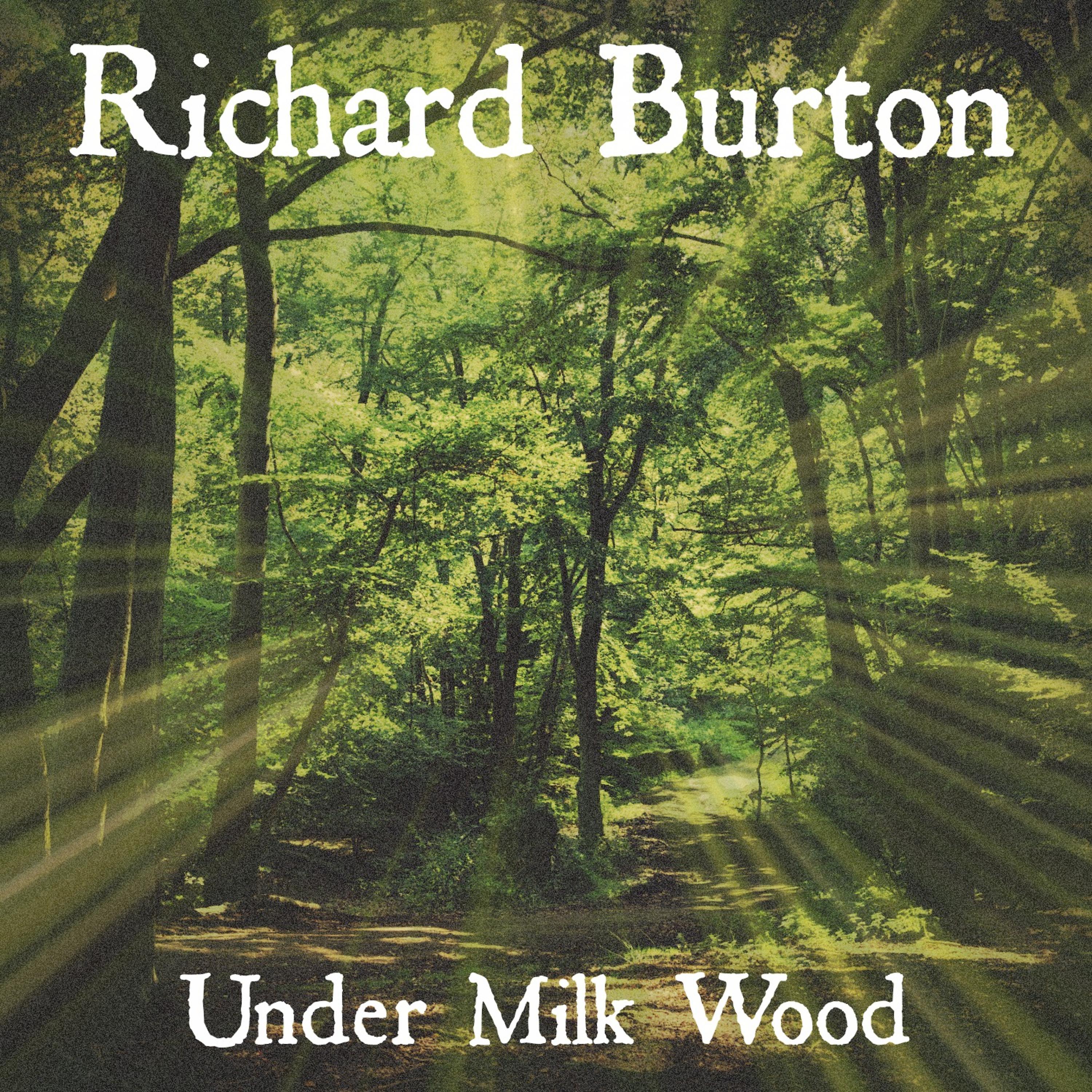Постер альбома Under Milk Wood