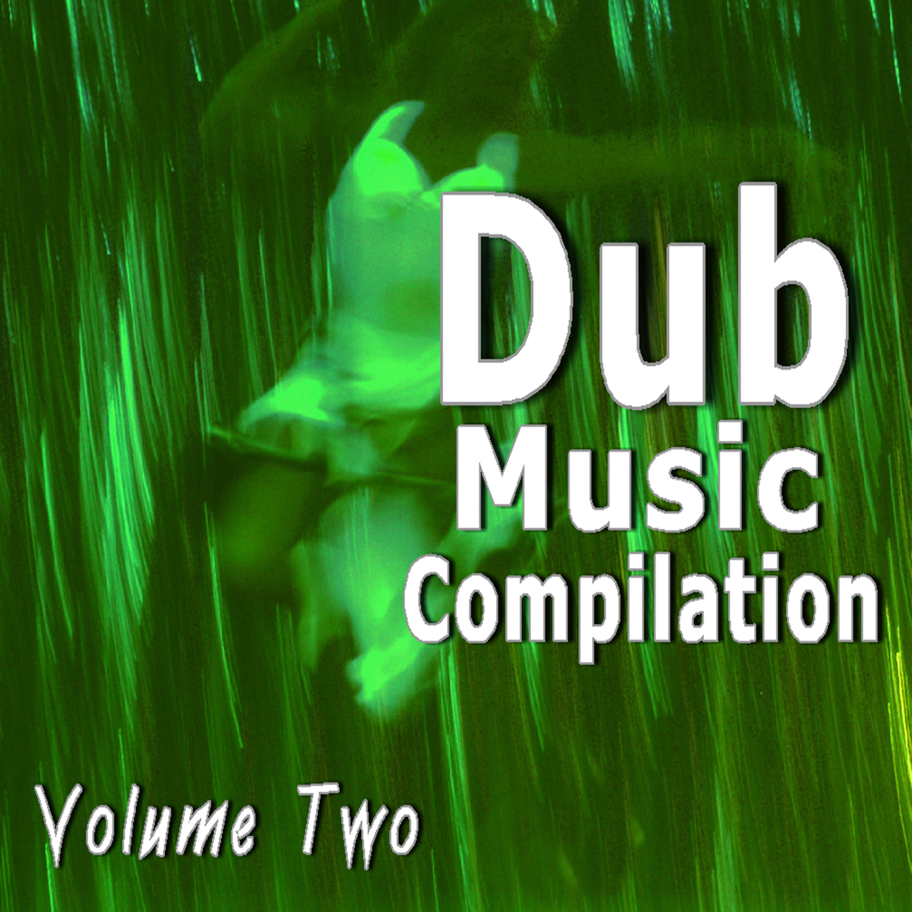 Постер альбома Dub Music Compilation, Vol. 2