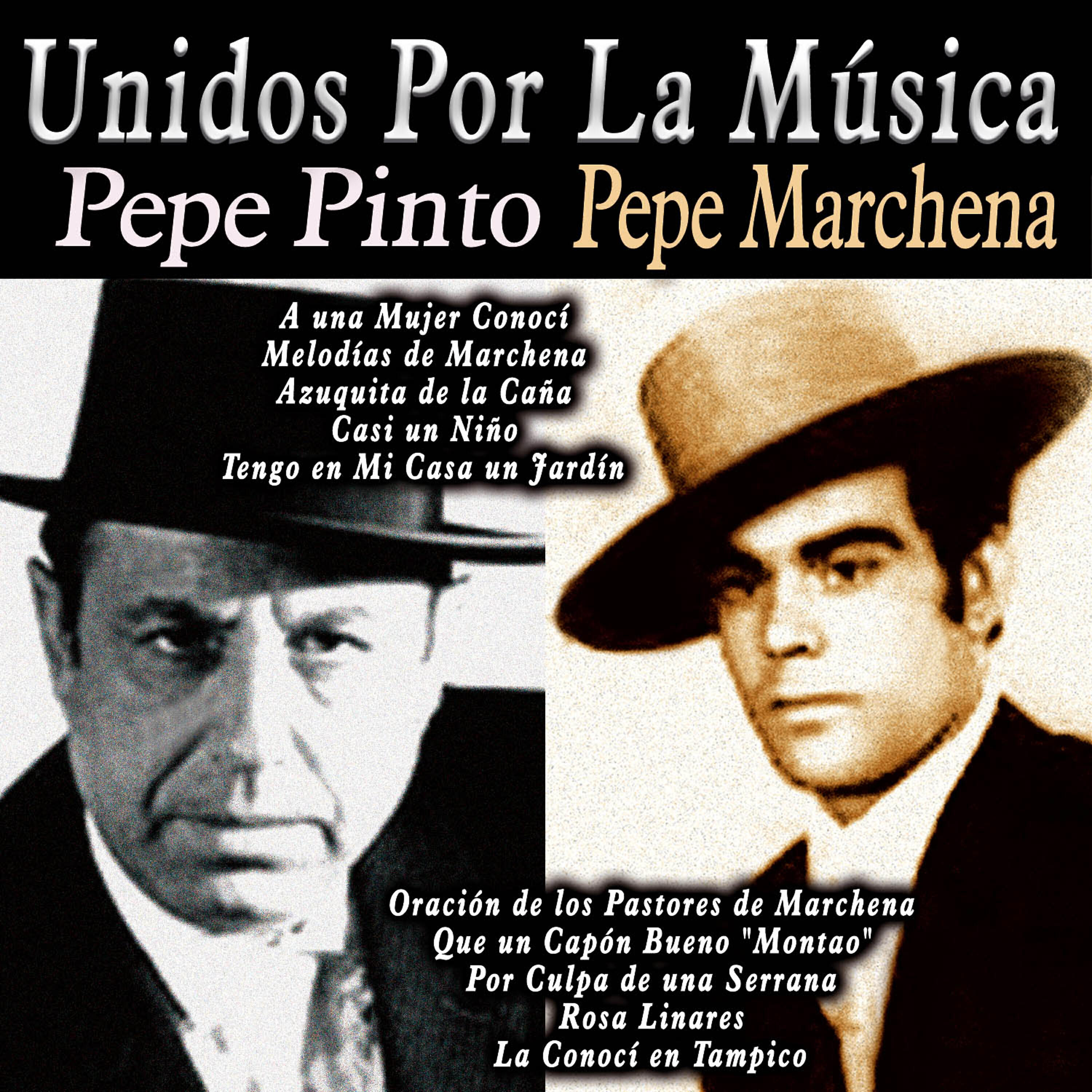 Pepe Pinto - Que un Capón Bueno 