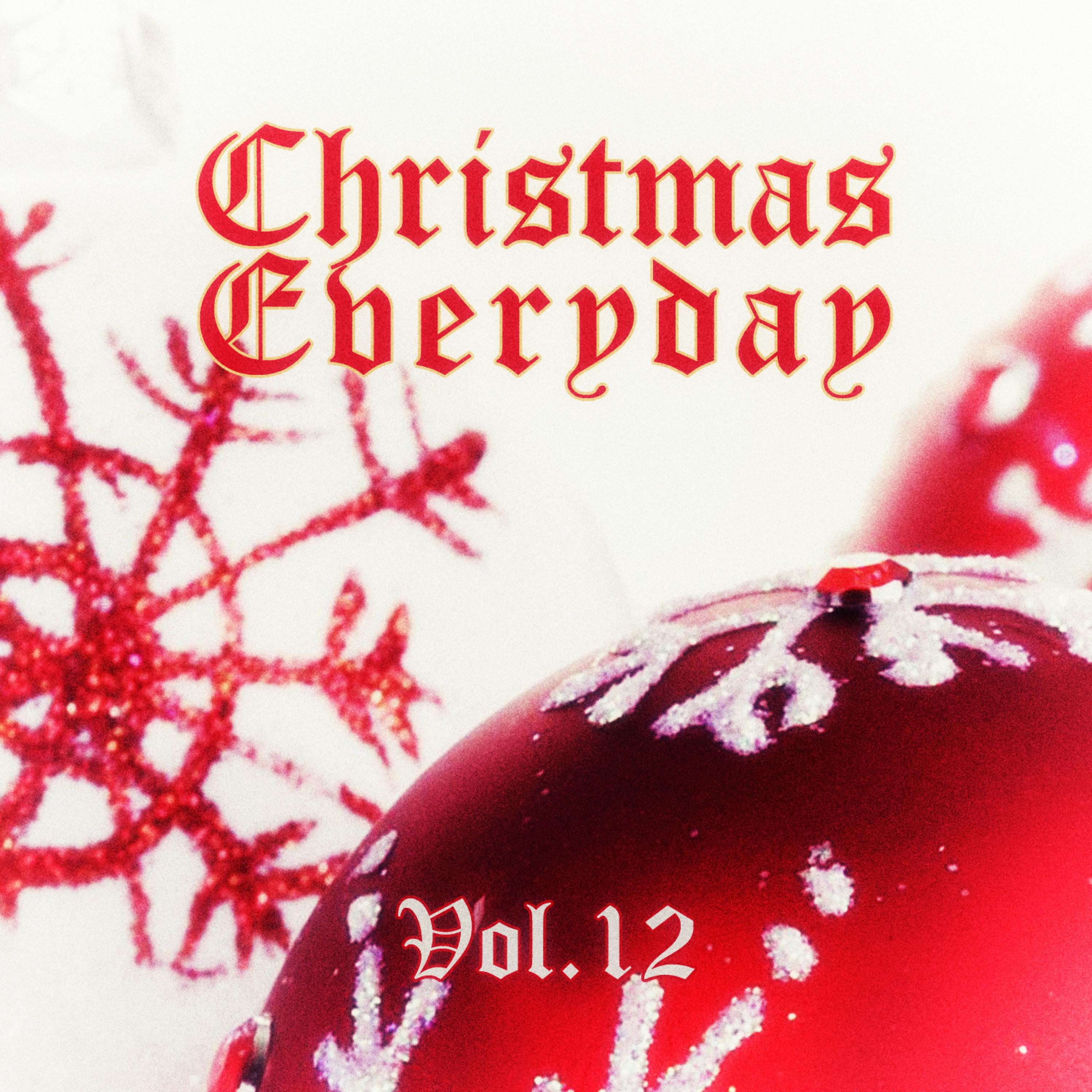 Постер альбома Christmas Everyday - Vol. 12