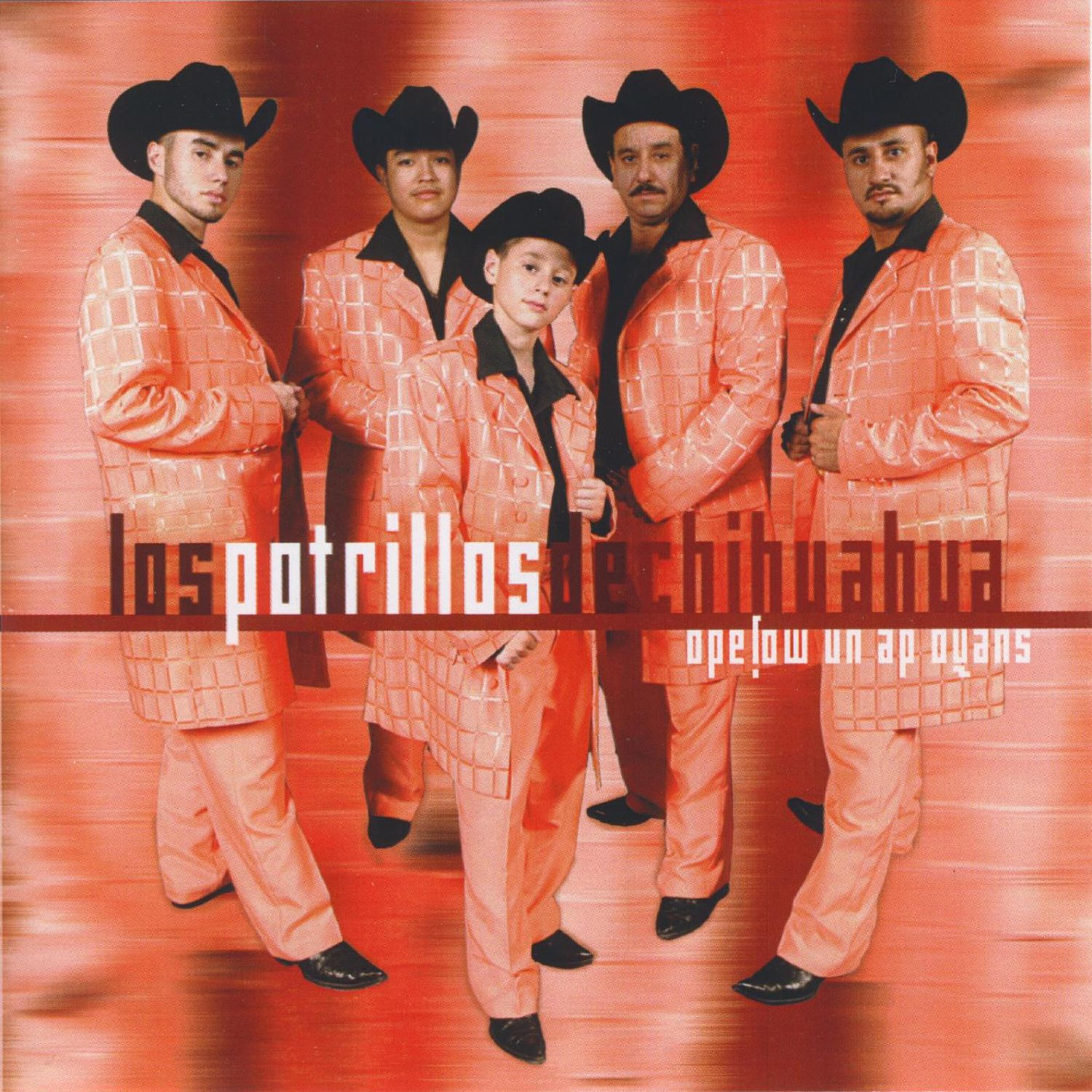Los Potrillos De Chihuahua - Las Fronteras De Arizona