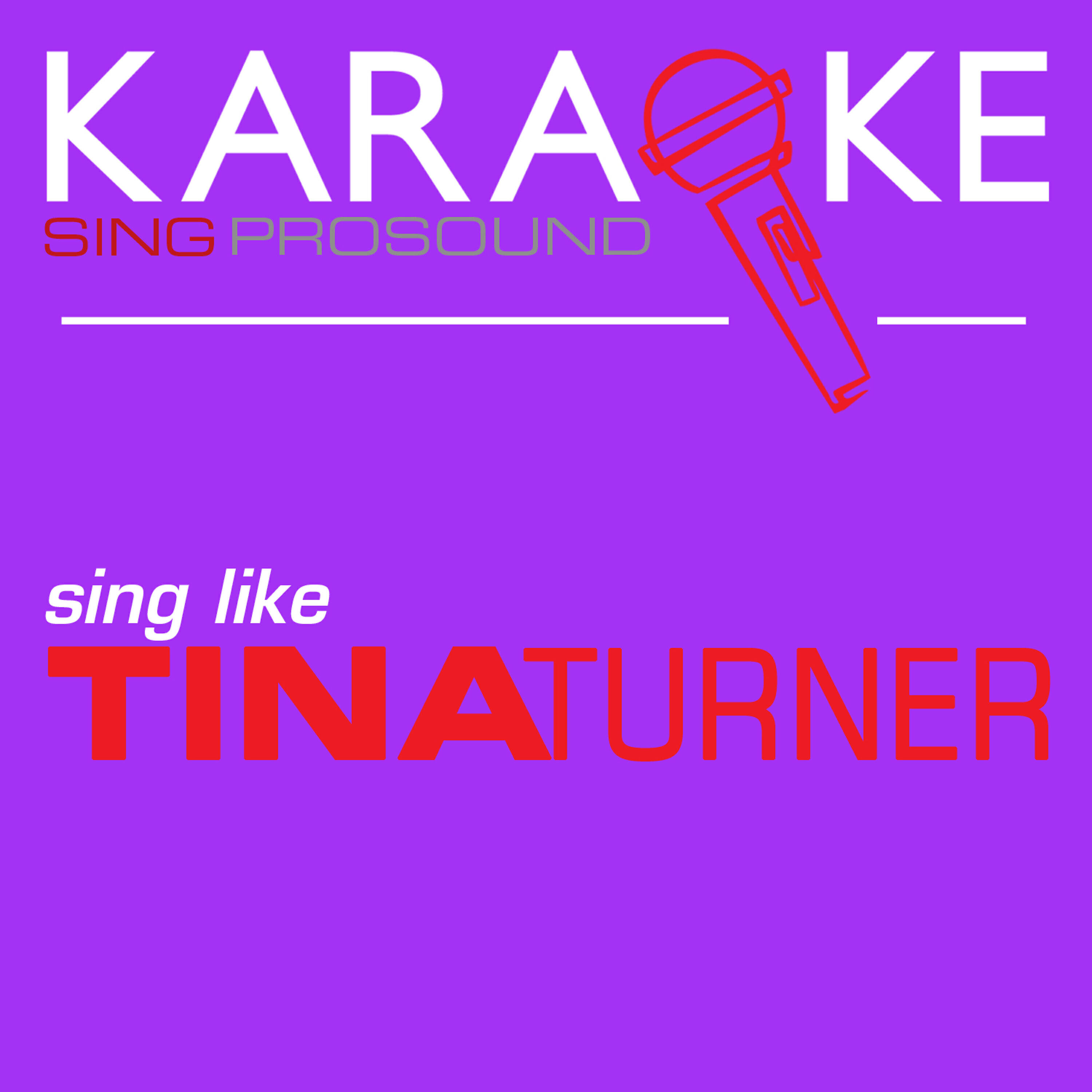 ProSound Karaoke Band - Steamy Windows (In the Style of Tina Turner) [Karaoke Instrumental Version]