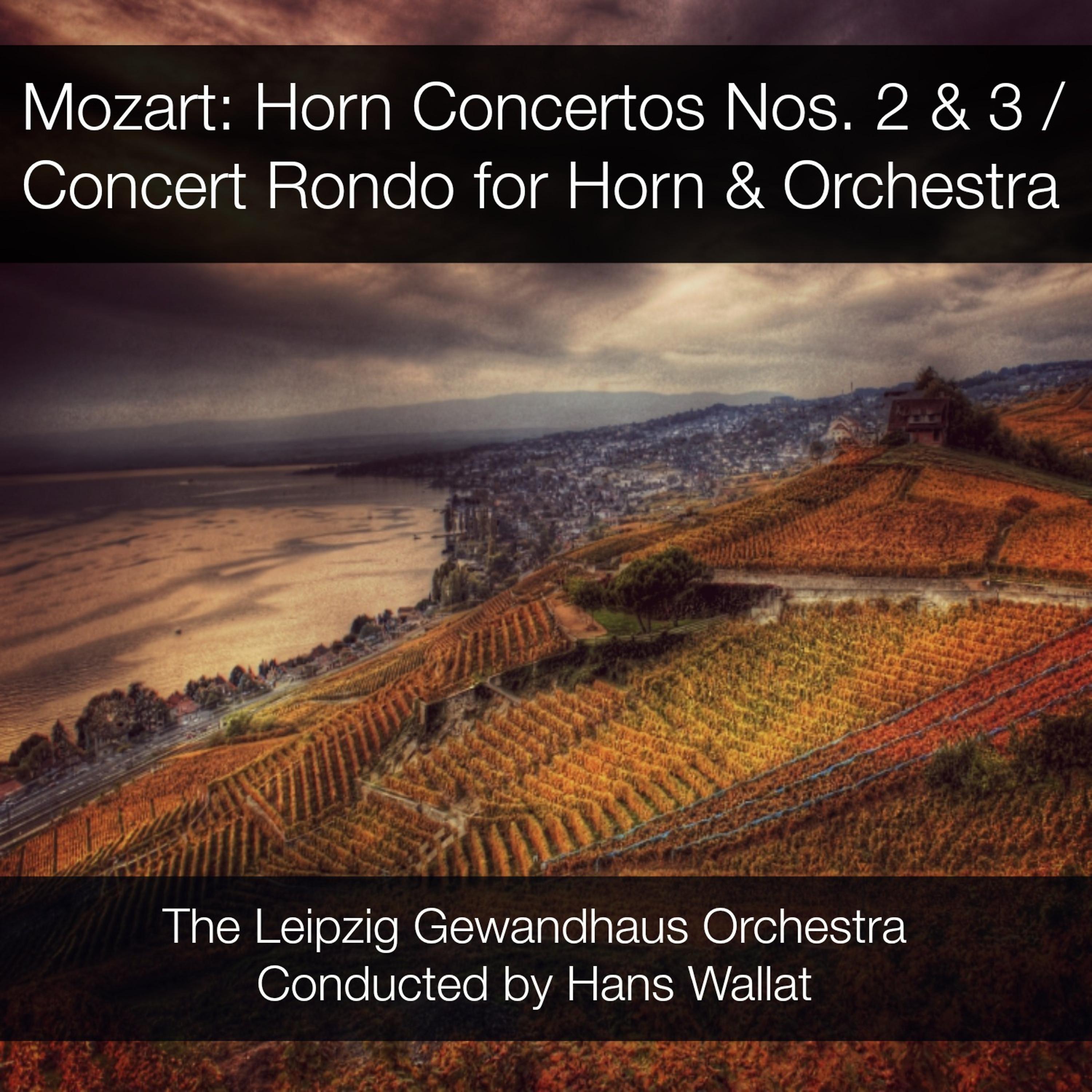 Постер альбома Mozart: Horn Concertos Nos. 2 & 3 / Concert Rondo for Horn & Orchestra