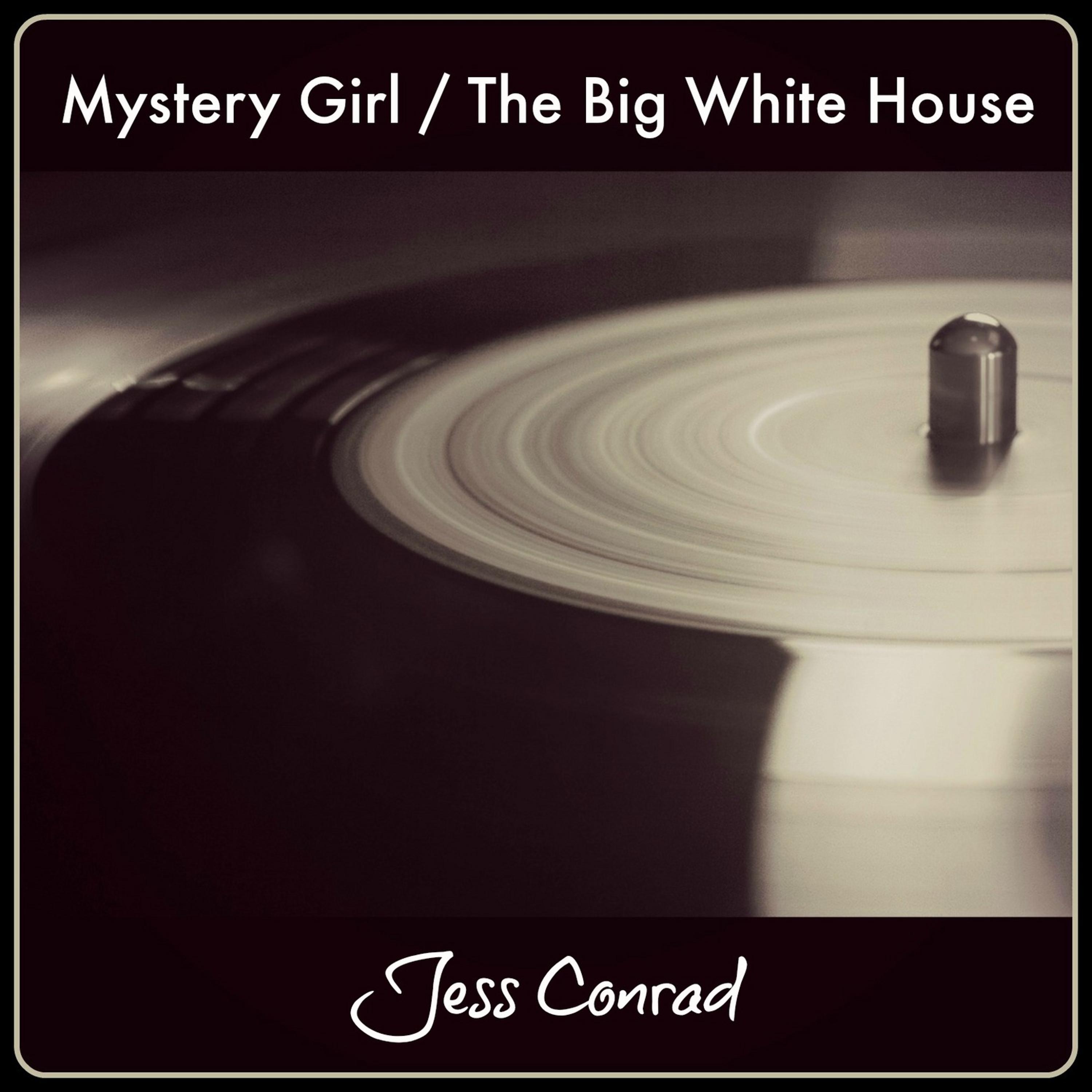 Постер альбома Mystery Girl / The Big White House