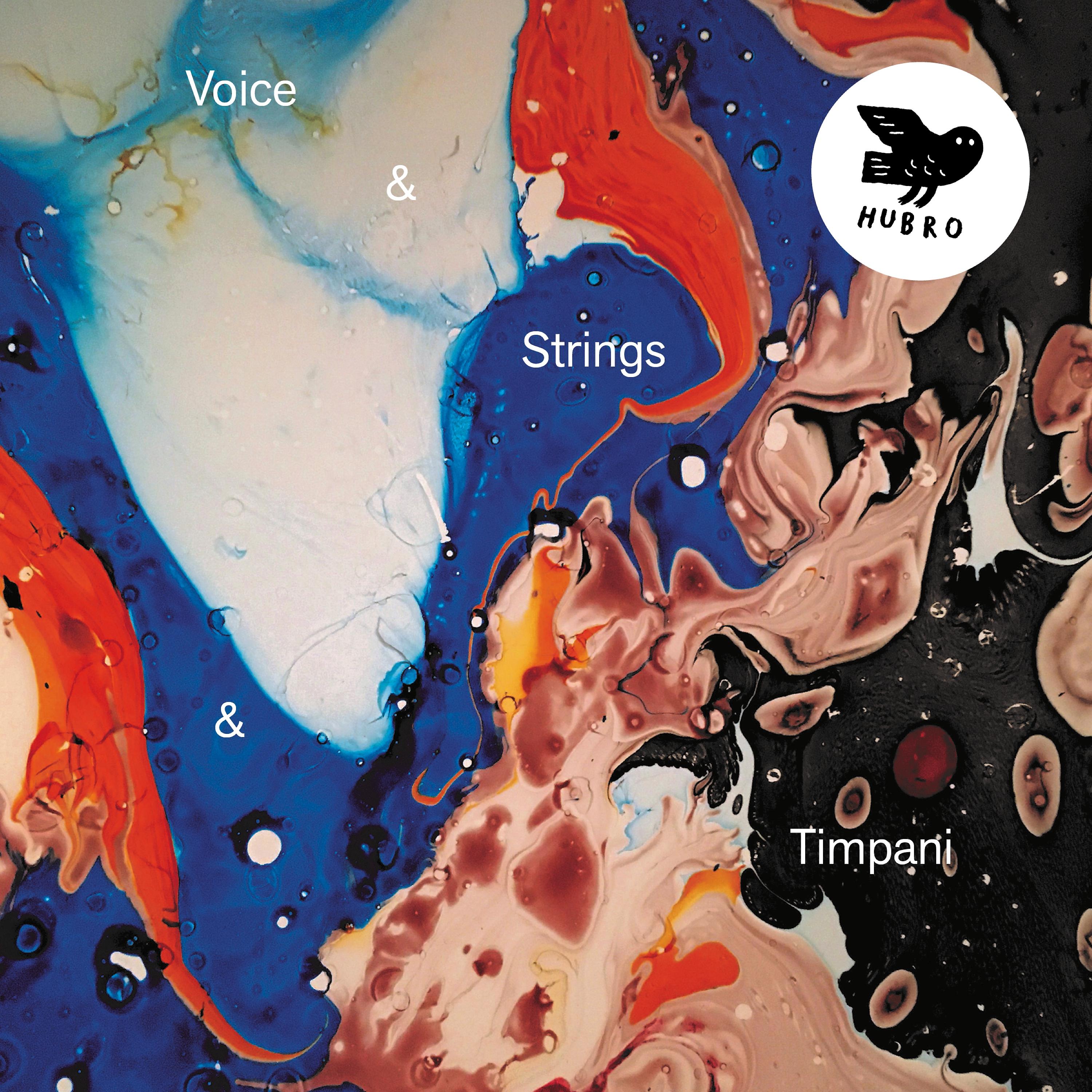 Постер альбома Voice & Strings & Timpani
