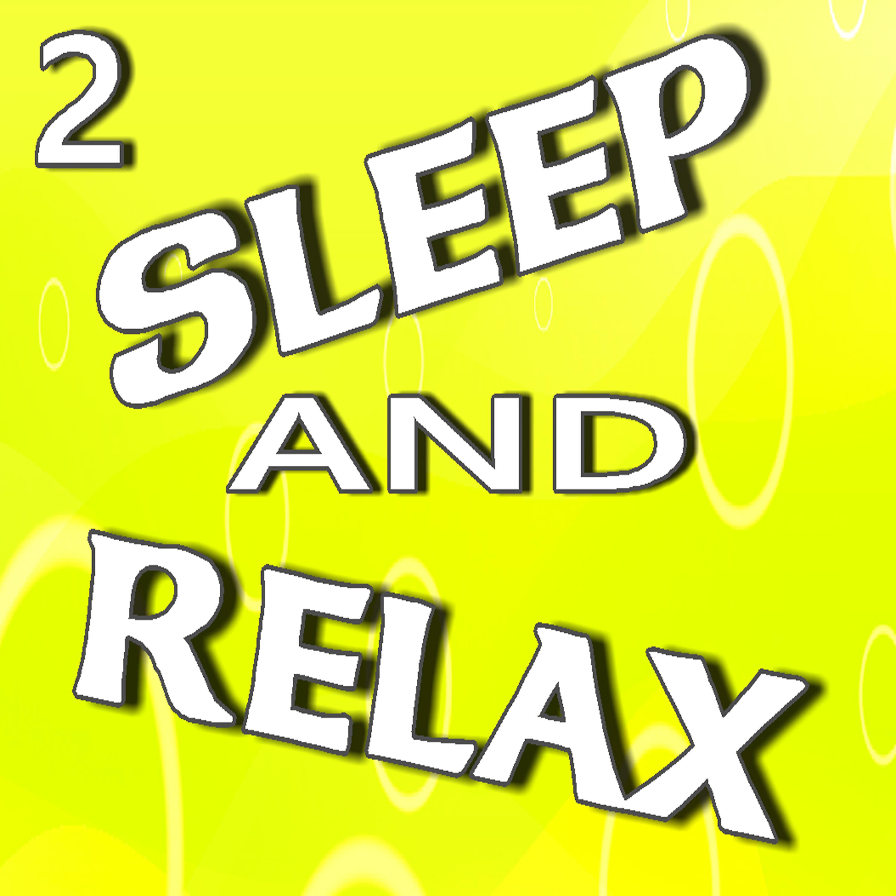 Постер альбома Sleep and Relax, Vol. 2