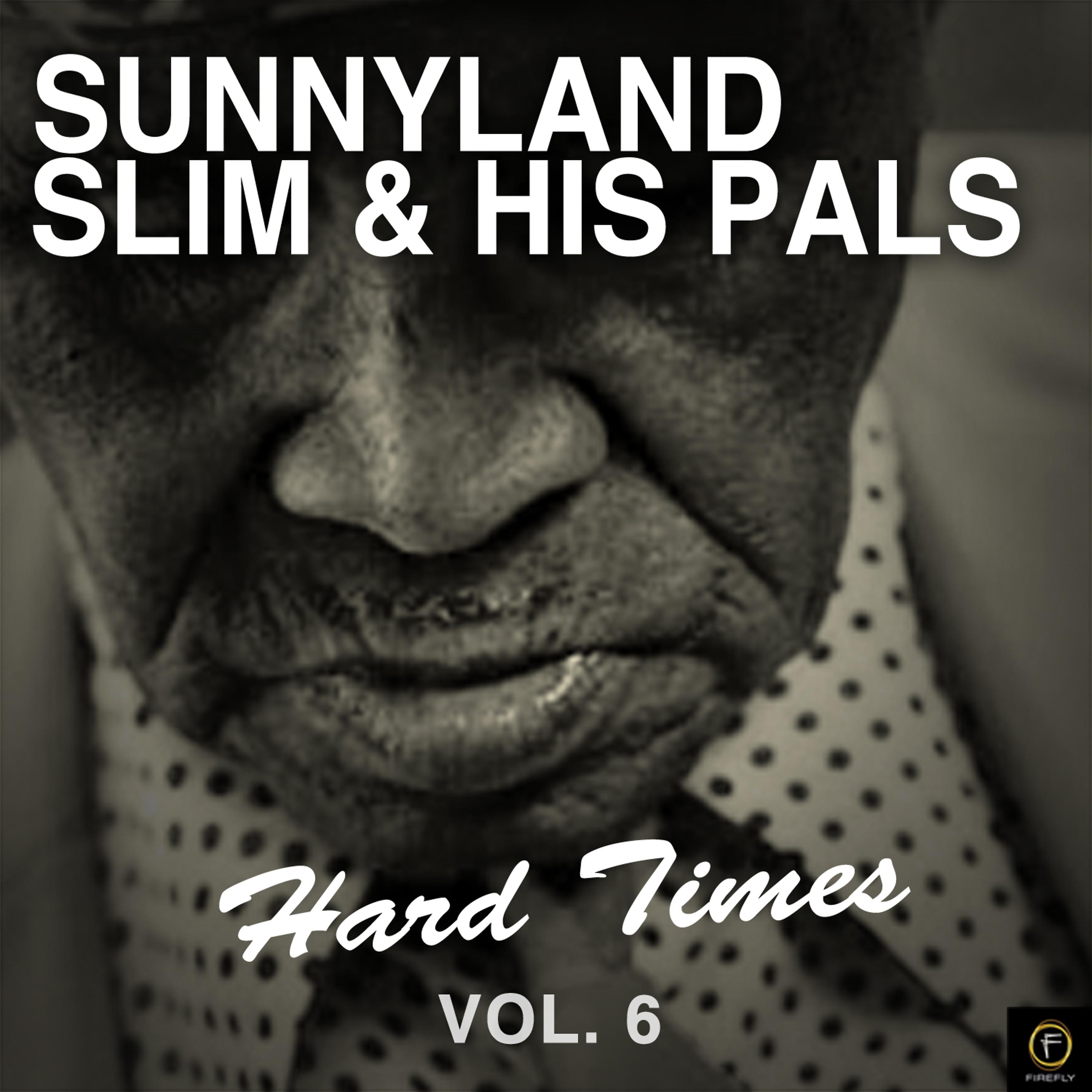 Постер альбома Sunnyland Slim & His Pals, Hard Times Vol. 6