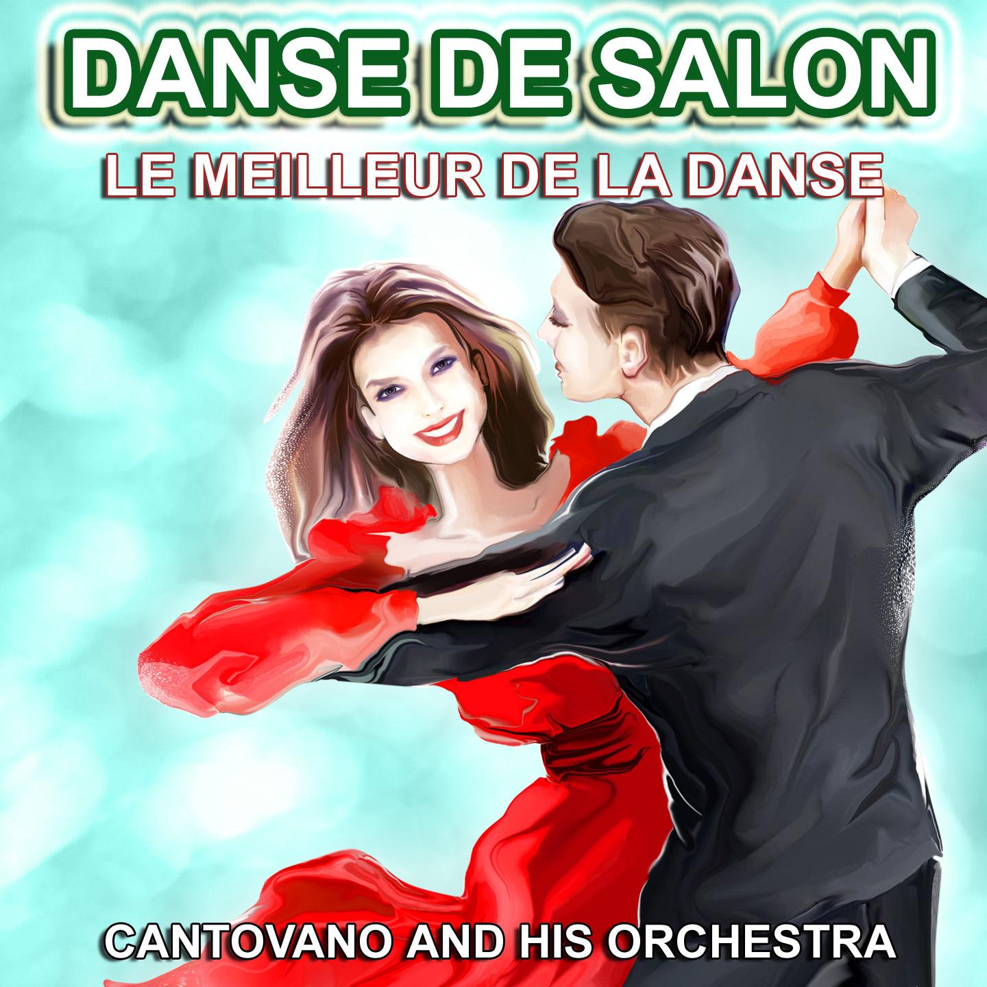 Постер альбома Danse de Salon - Le Meilleur de la Danse