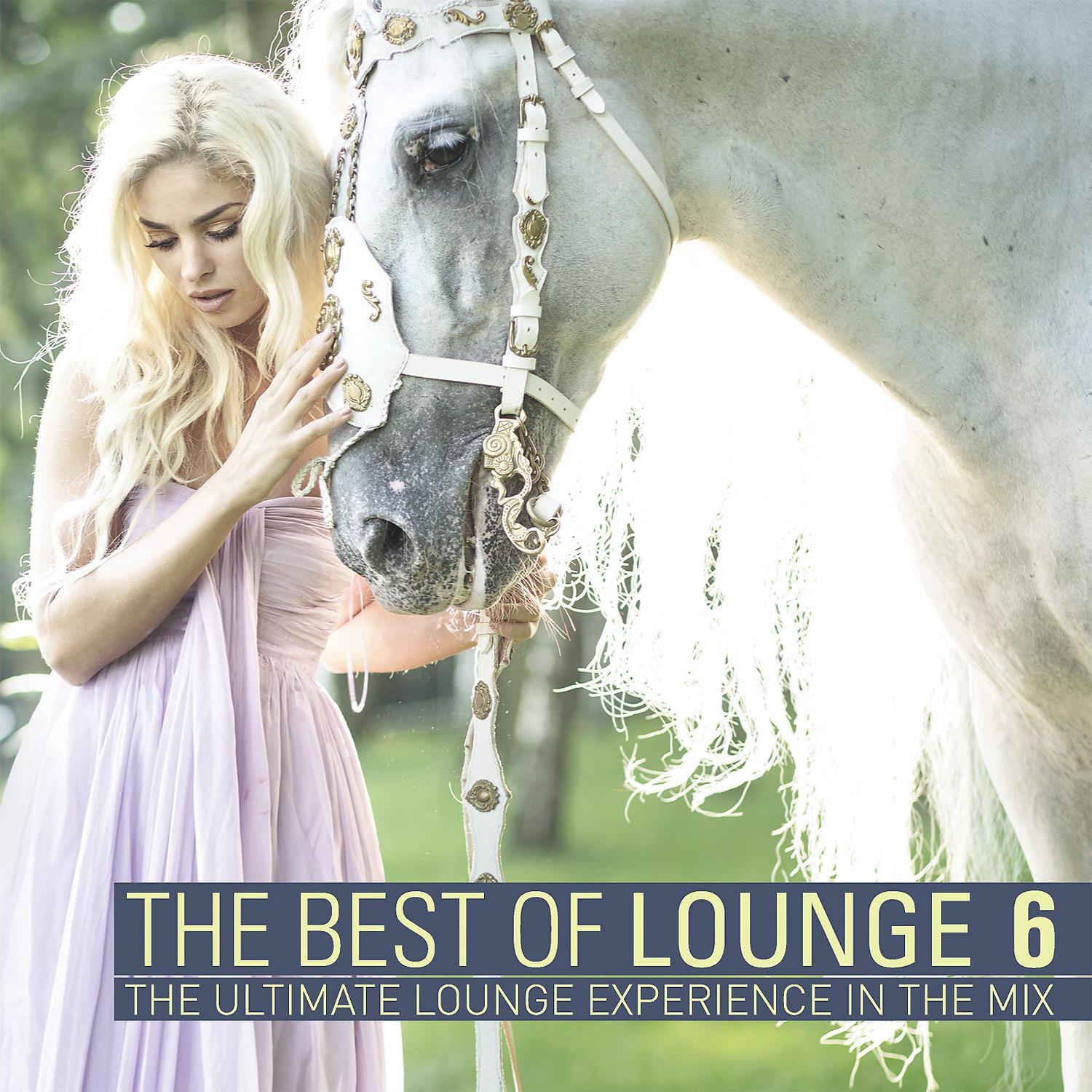 Постер альбома The Best of Lounge vol.6 CD2