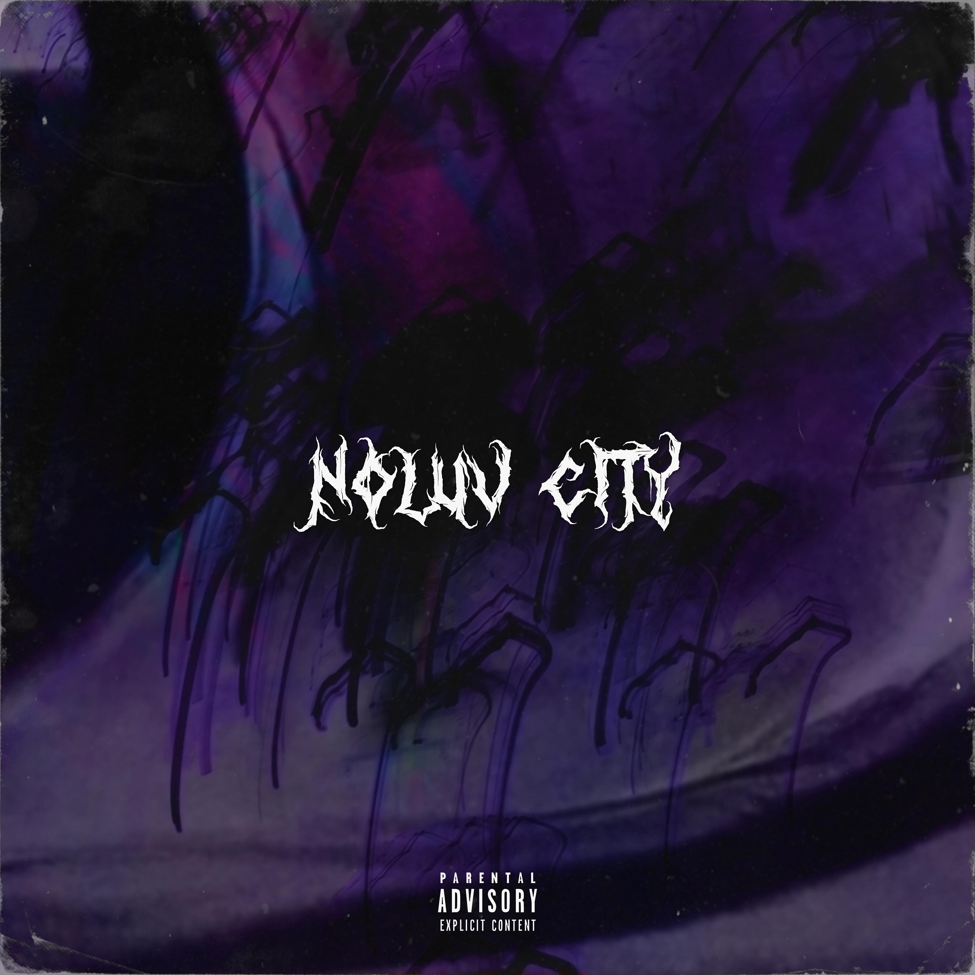 Постер альбома Noluv City