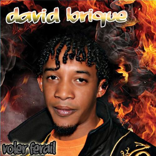 David Brique - Rose