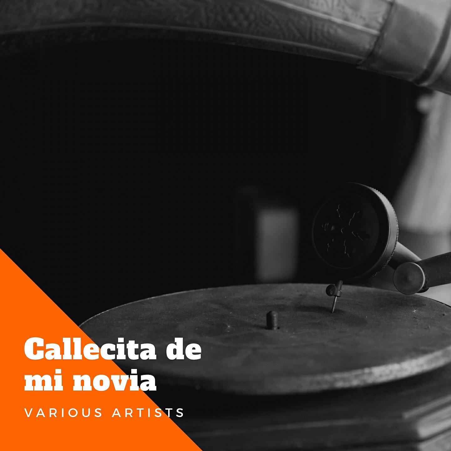 Francisco Lomuto Y Su Orquesta Tipica - Callecita de mi novia