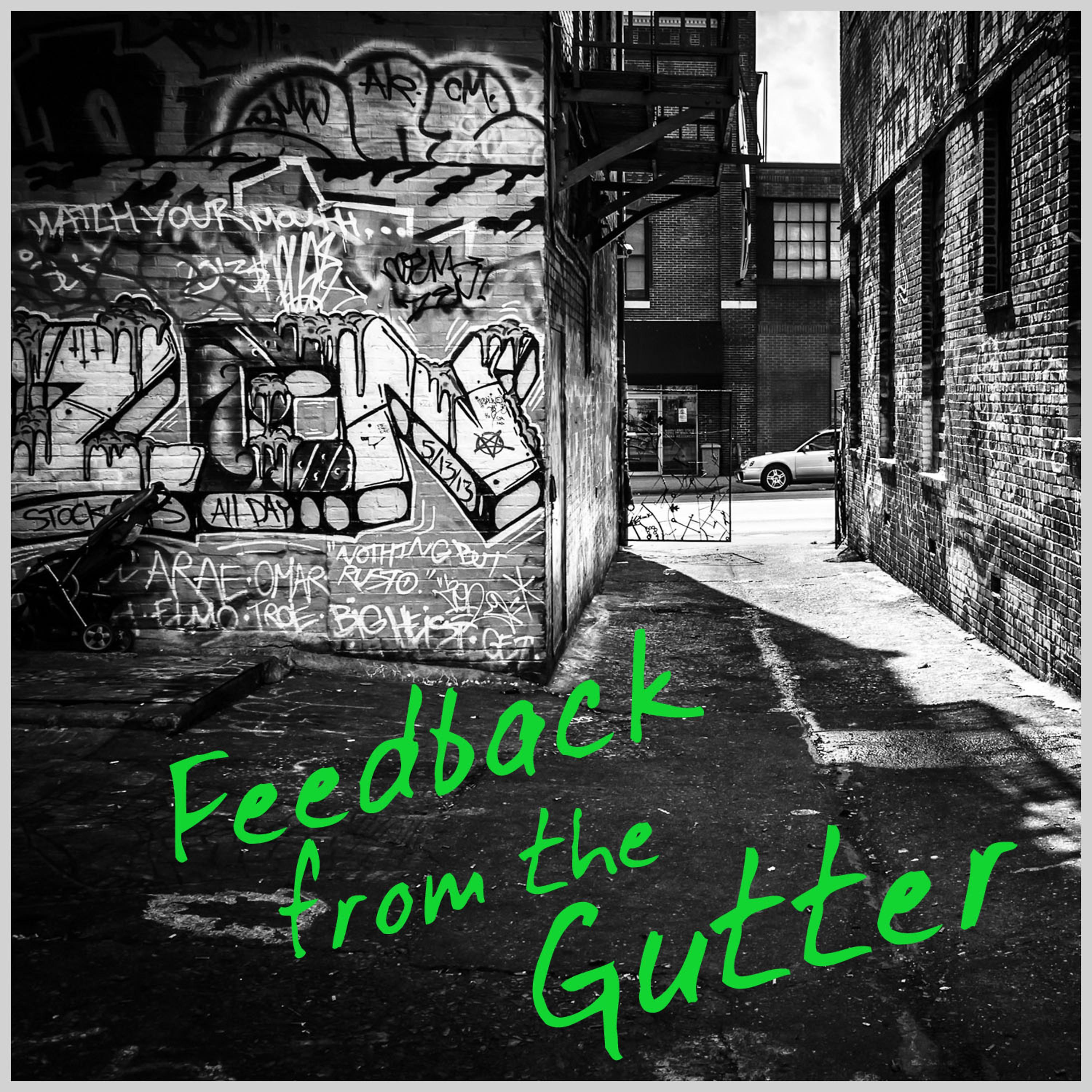 Постер альбома Feedback from the Gutter: A Collection of Live Punk & Other Junk