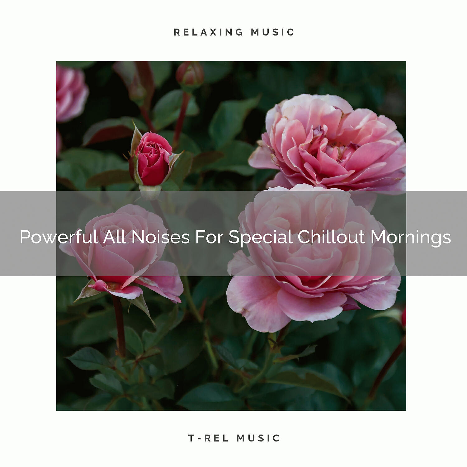 De-stressing White Noise - Mega All Noises For Bizarre Take It Easy Night