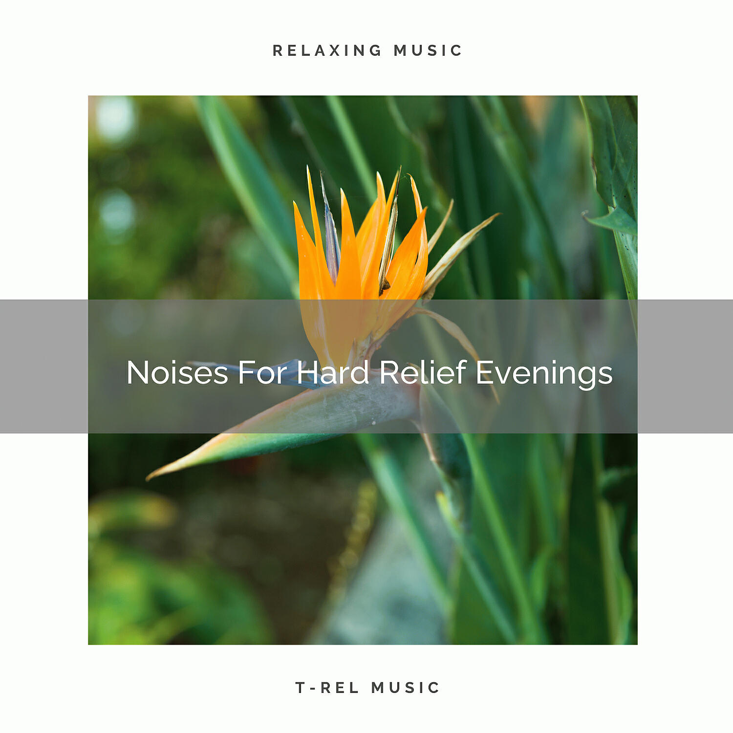 Vacuum Cleaner White Noise - Calm All Noises For Tuned-in Relief Nap