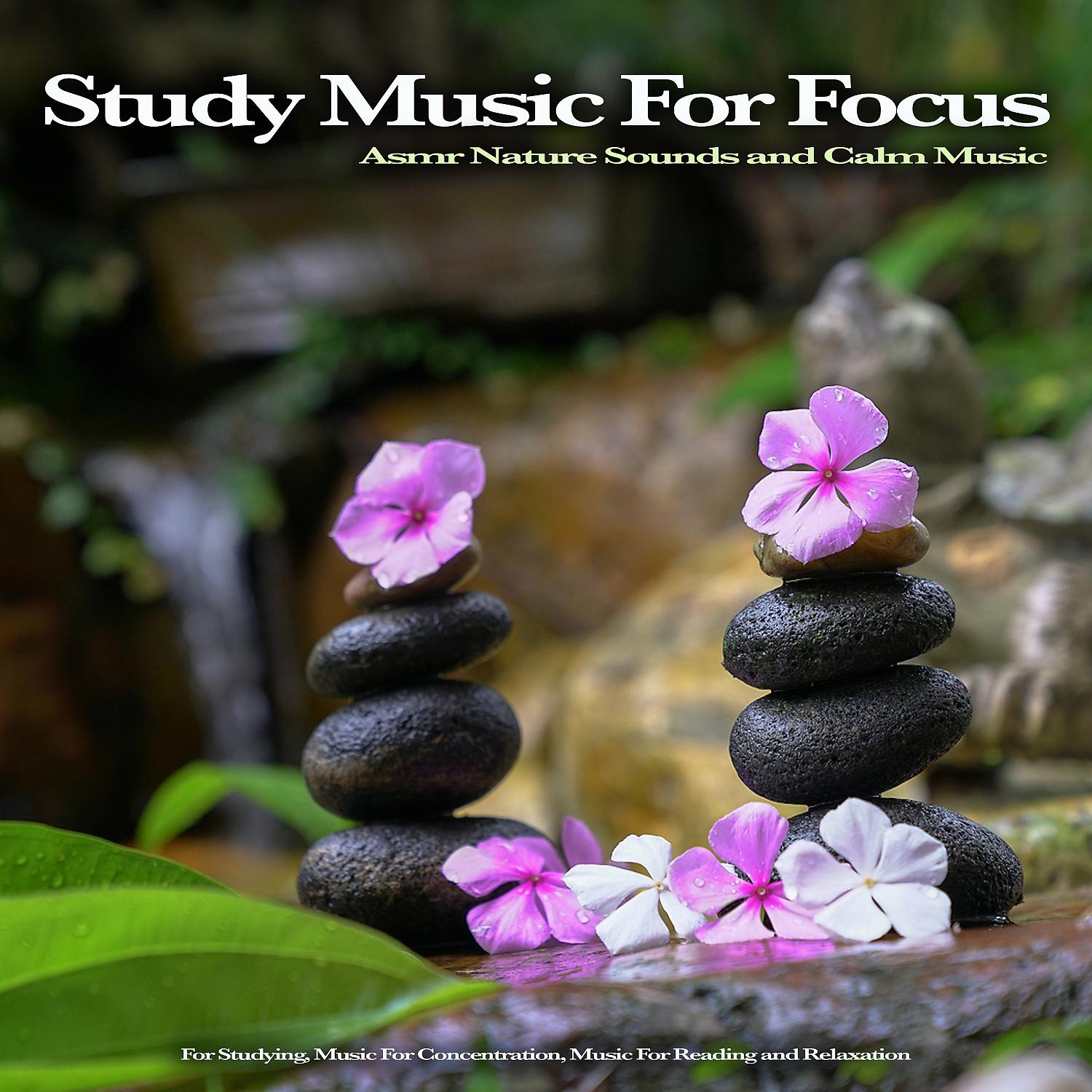 Постер альбома Study Music For Focus: Asmr Nature Sounds and Calm Music For Studying, Music For Concentration, Music For Reading and Relaxation
