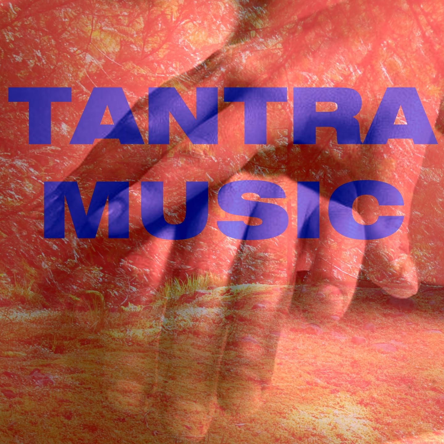 Постер альбома Tantra Music