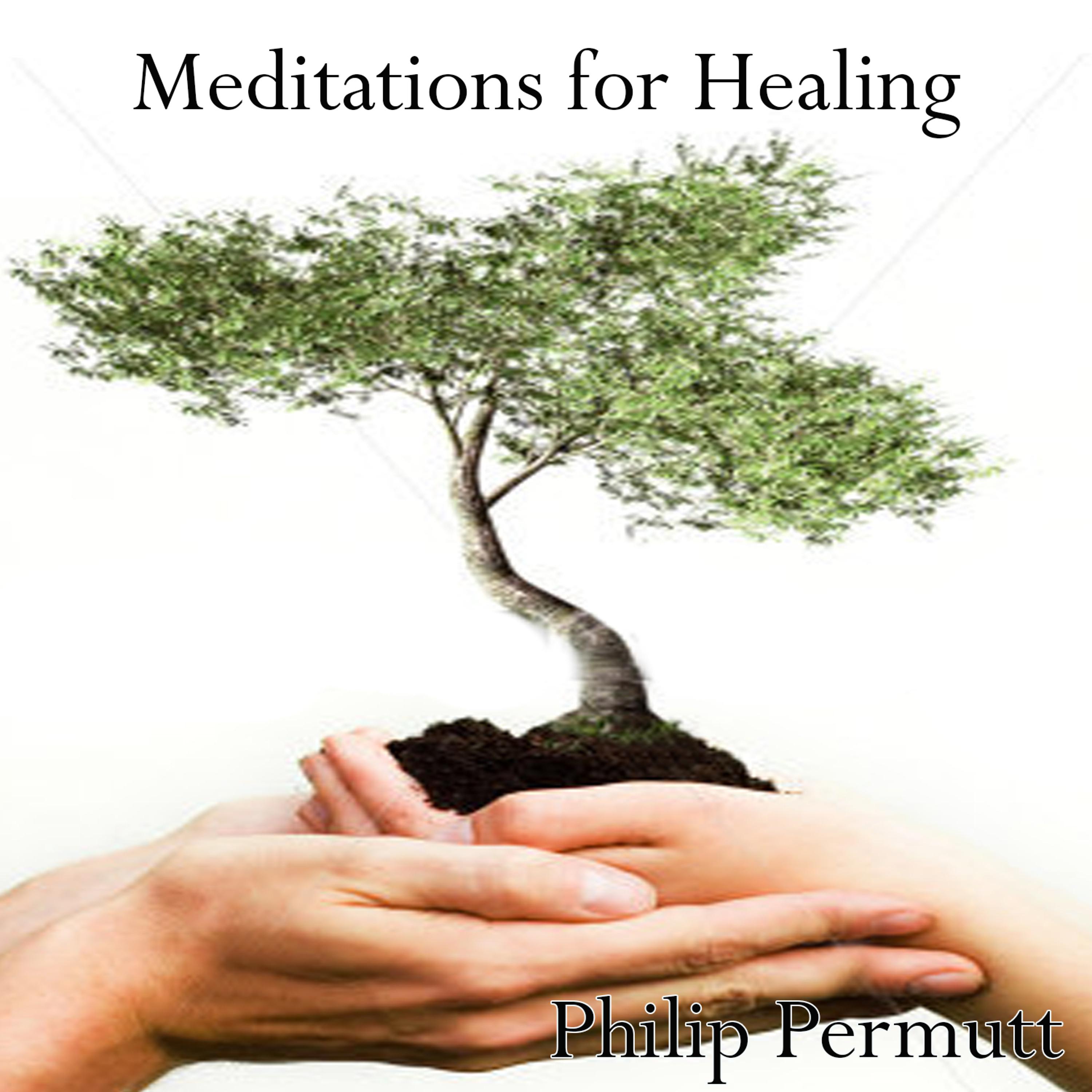Постер альбома Meditations for Healing