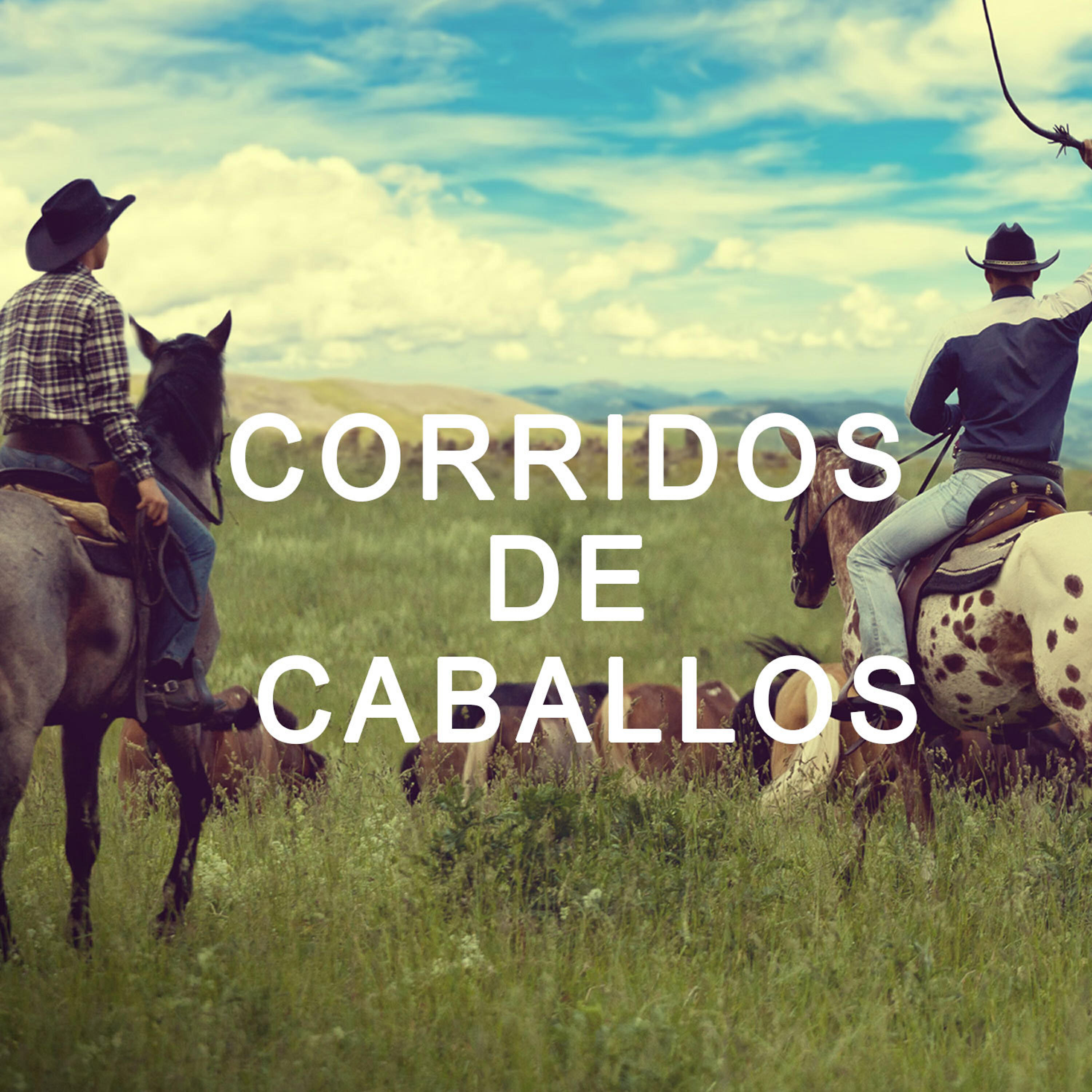 JLB - Monta Mi Caballo