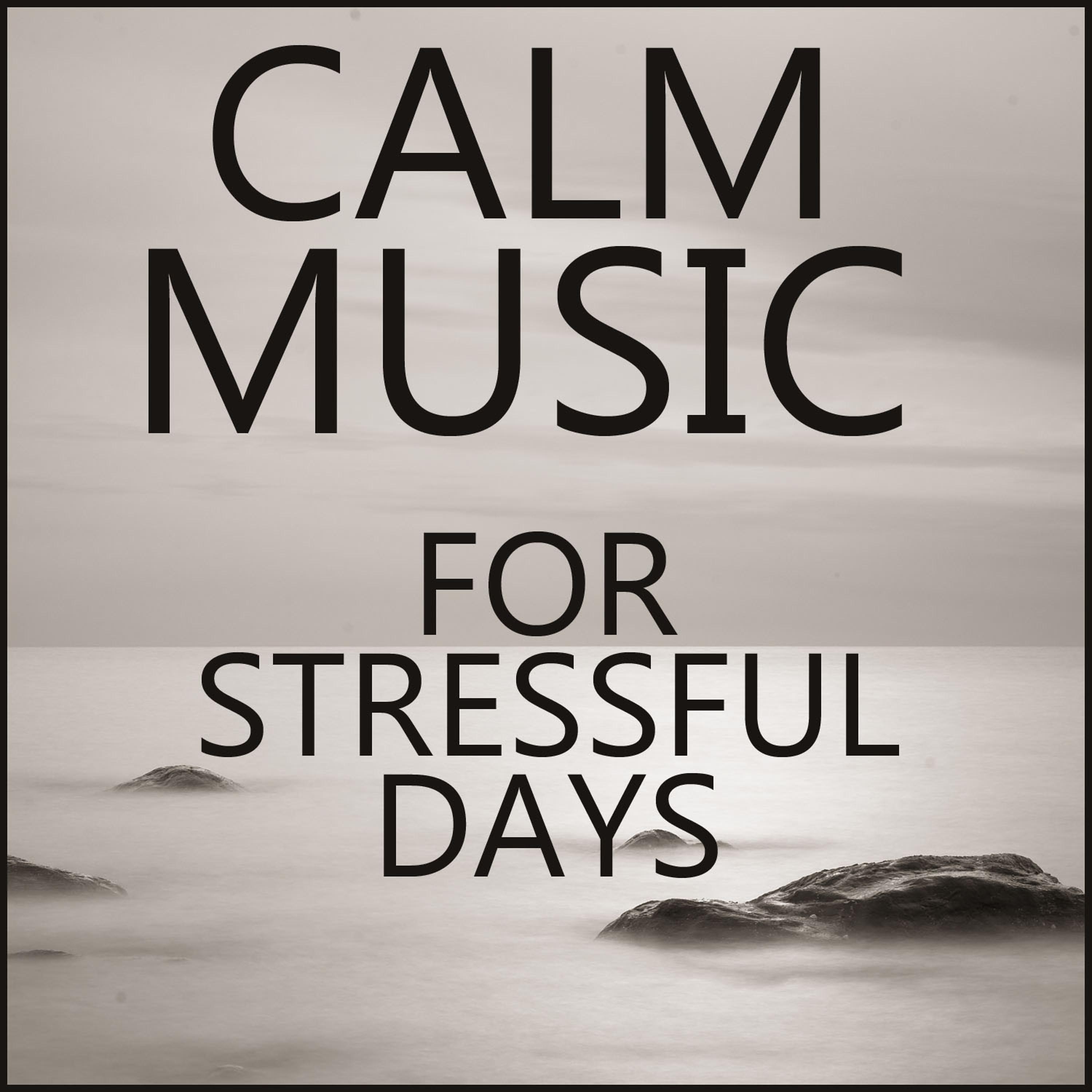 Постер альбома Calm Music for Stressful Days