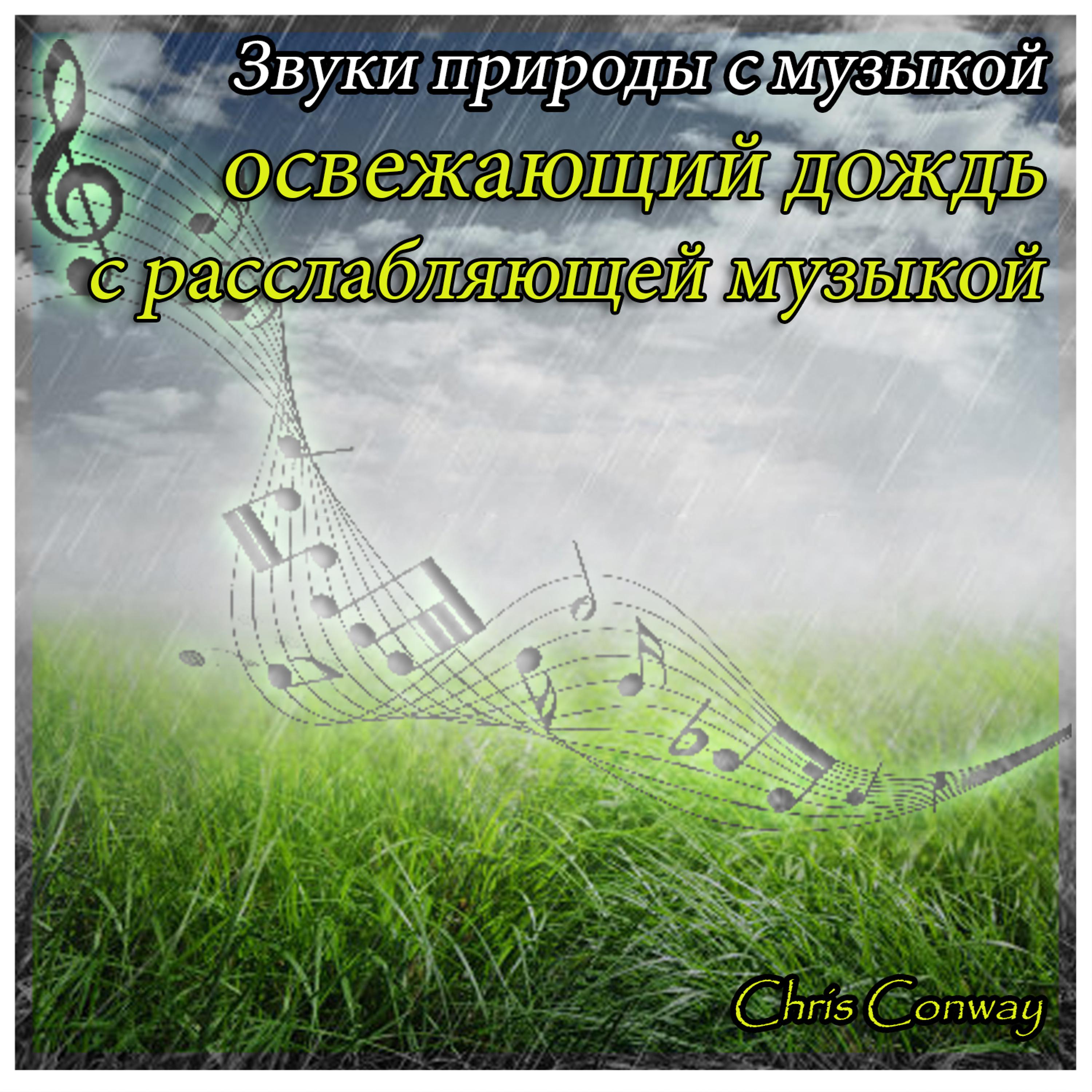 Постер альбома Звуки природы с музыкой: освежающий дождь с расслабляющей музыкой