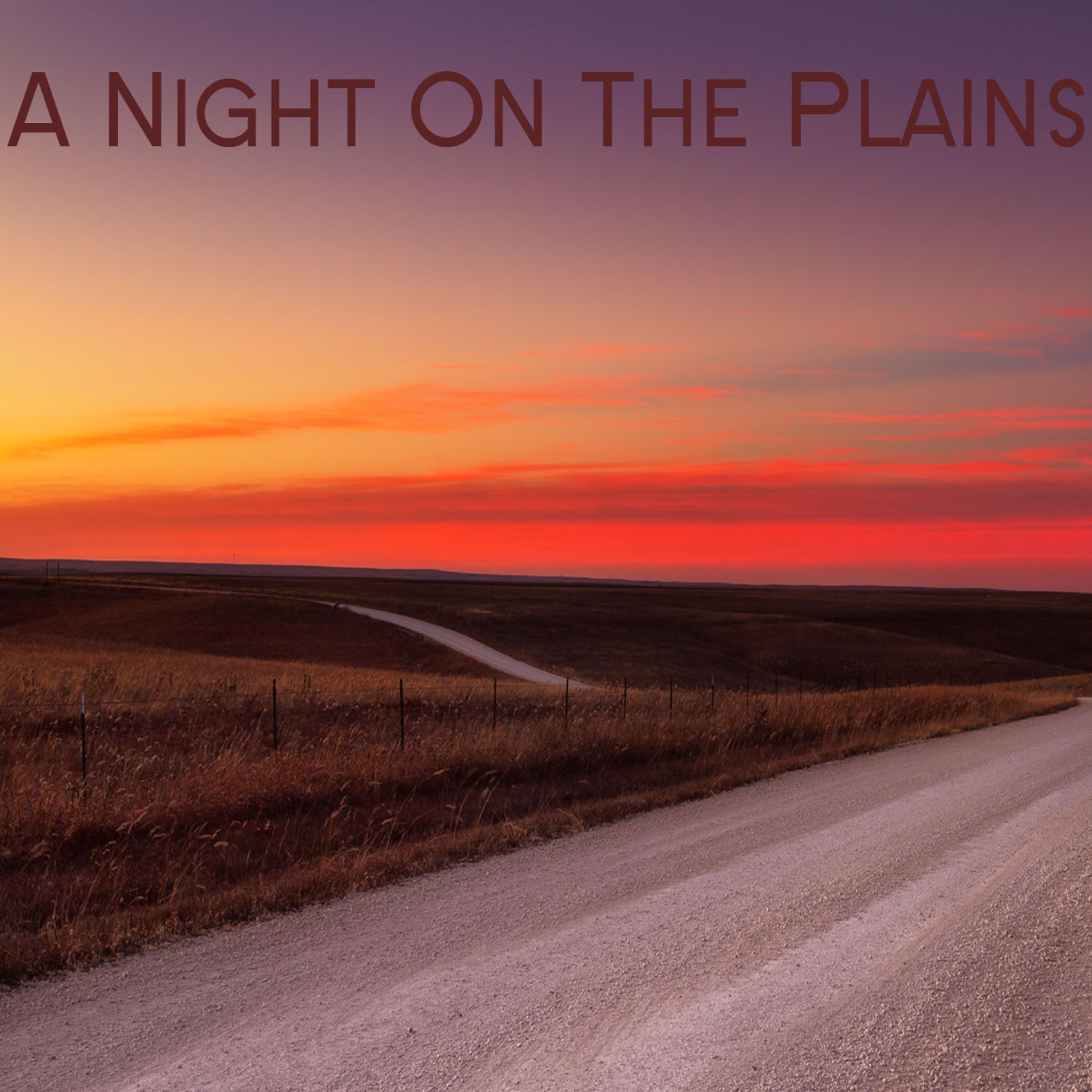 Постер альбома A Night on the Plains