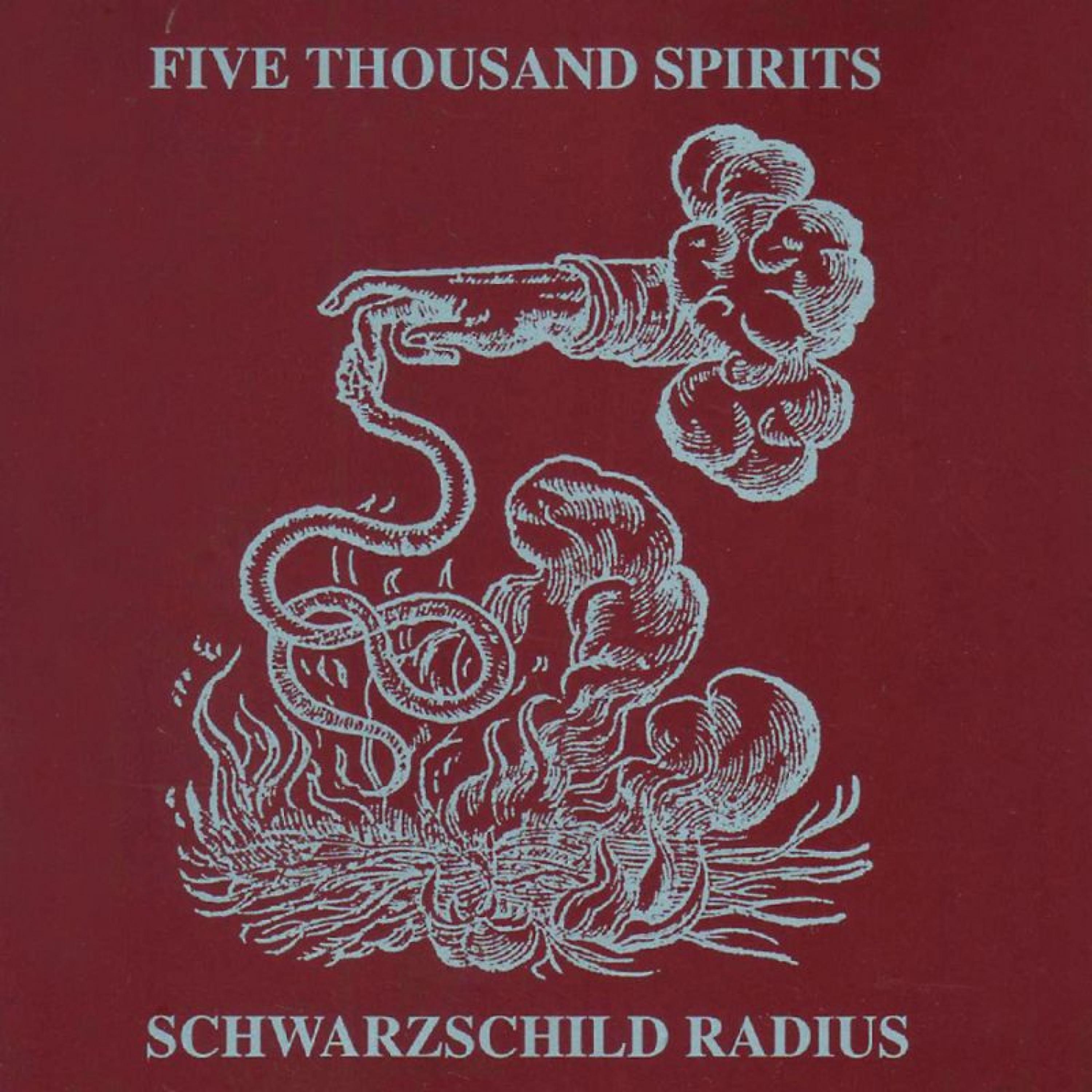 Постер альбома Schwarzschild Radius