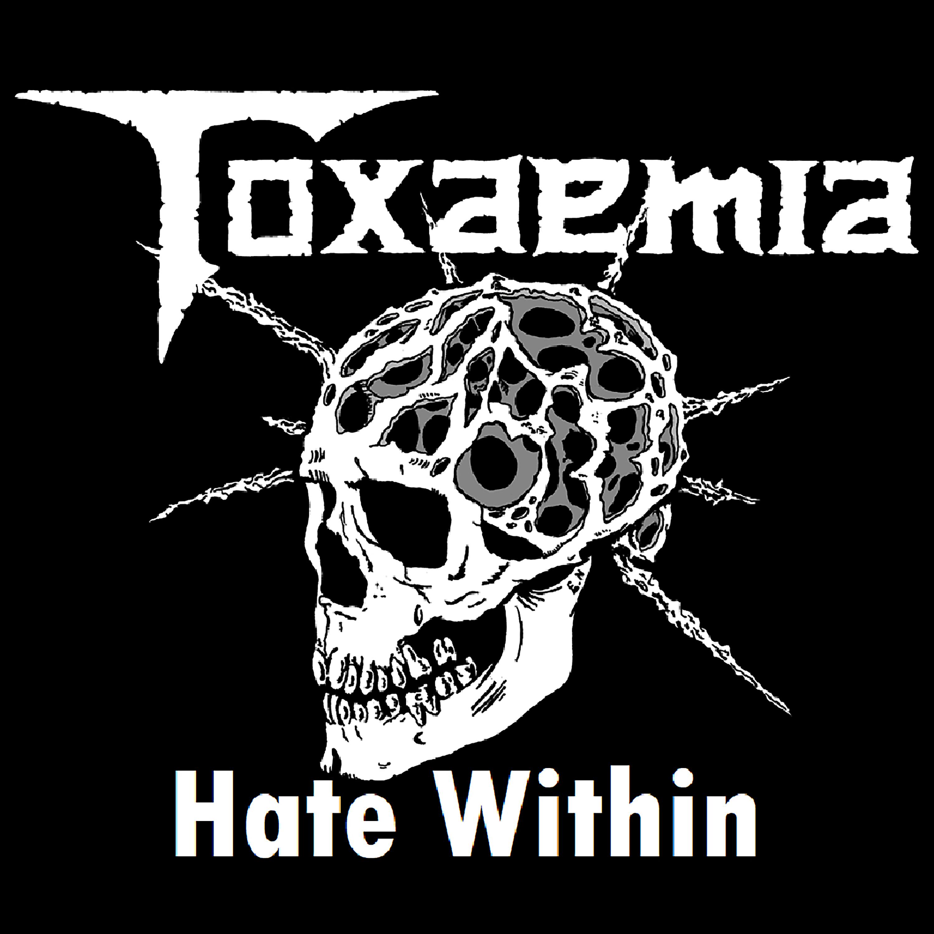 Постер альбома Hate Within