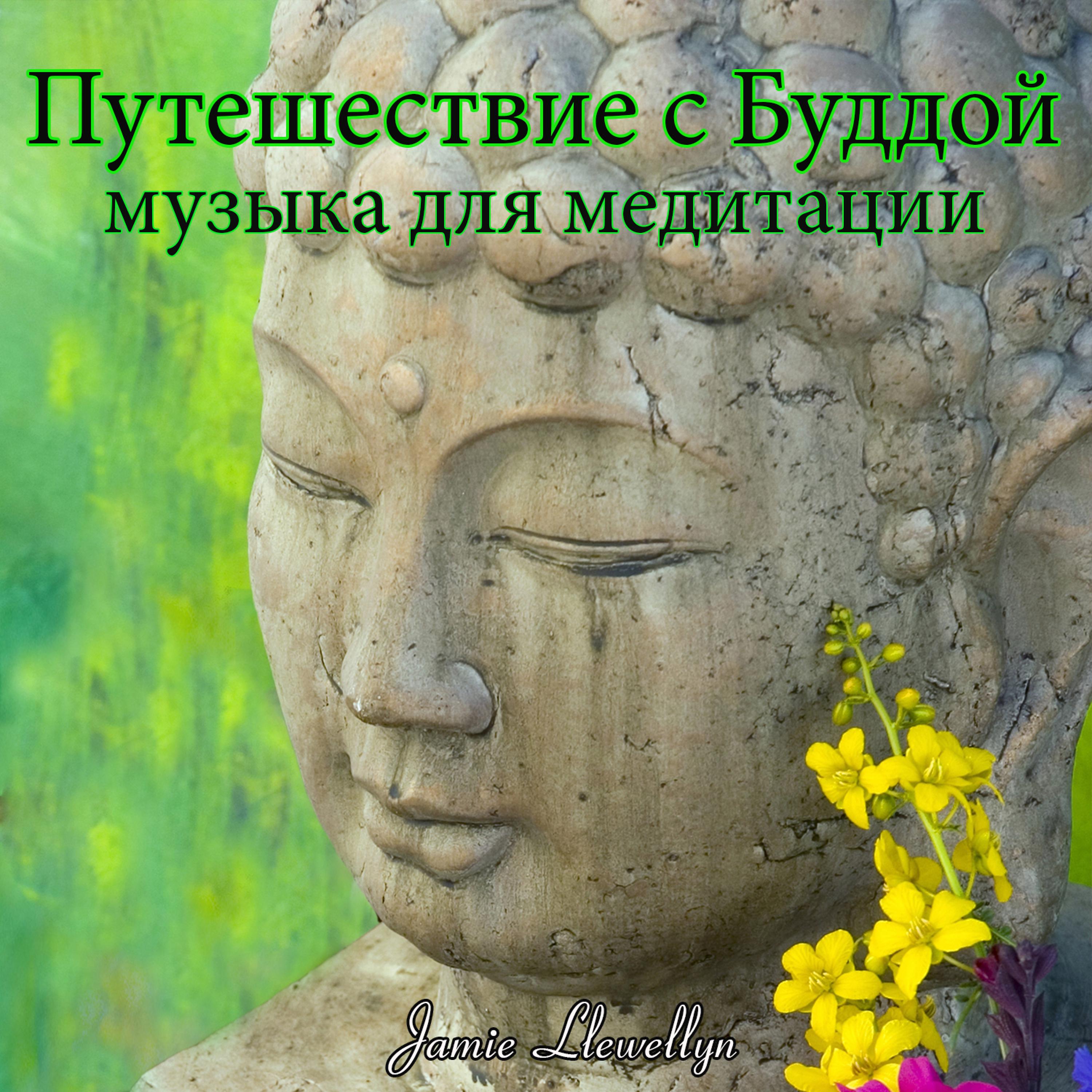 Постер альбома Путешествие с Буддой: музыка для медитации