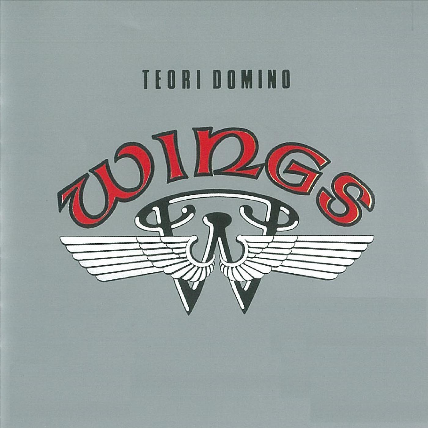 Постер альбома Teori Domino