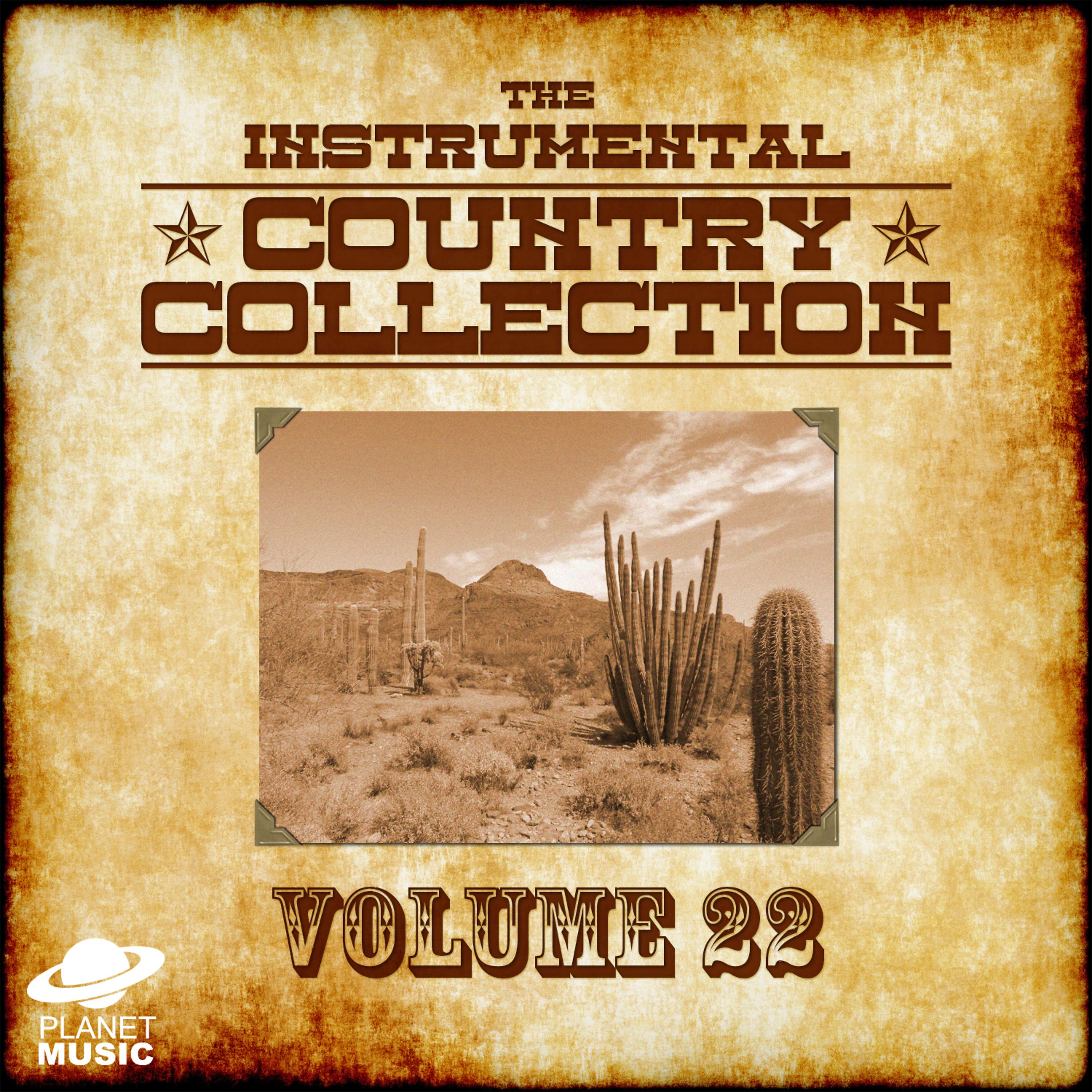 Постер альбома The Instrumental Country Collection, Vol. 22
