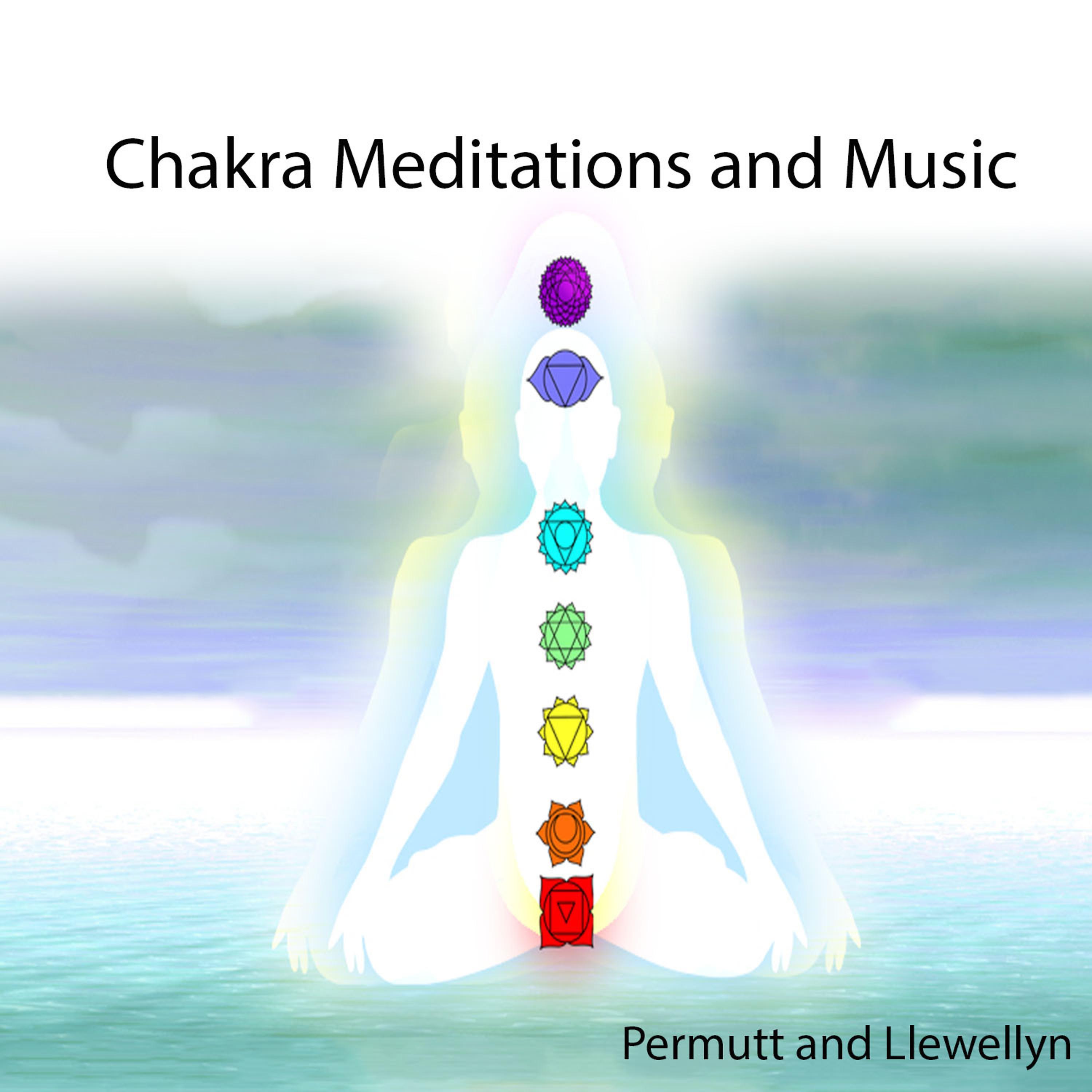 Постер альбома Chakra Meditations and Music