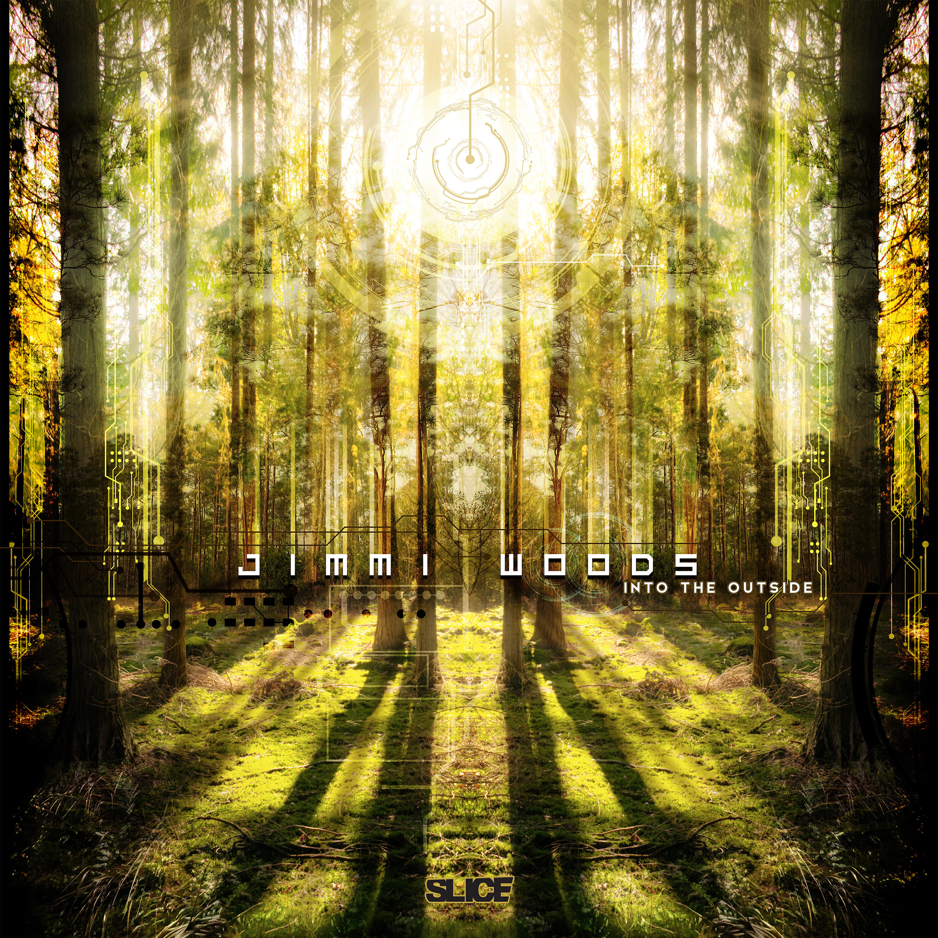 Jimmi-Woods - Frog Pond Discotheque