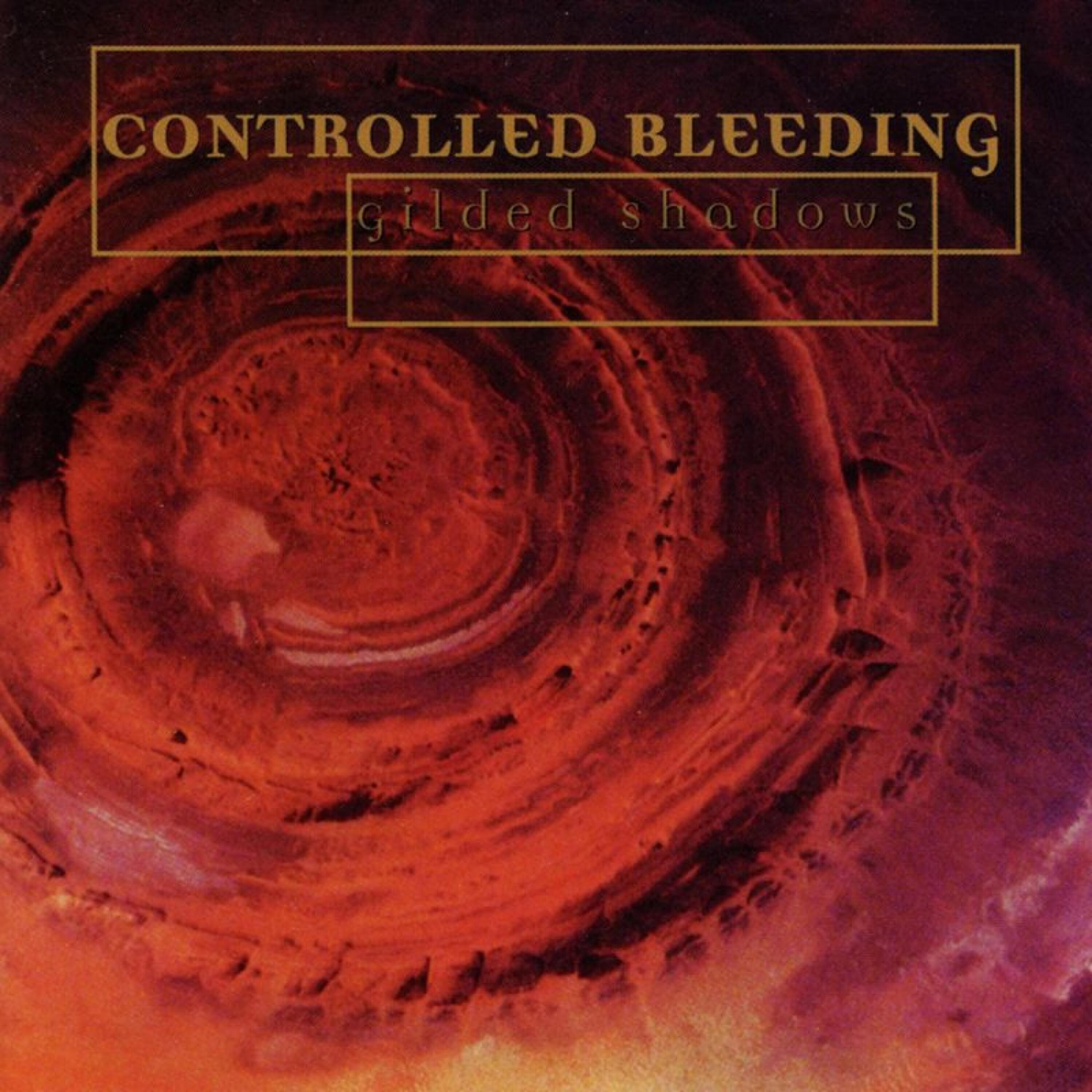 Controlled Bleeding - Uncertain Sorrow (Stalker Mix)