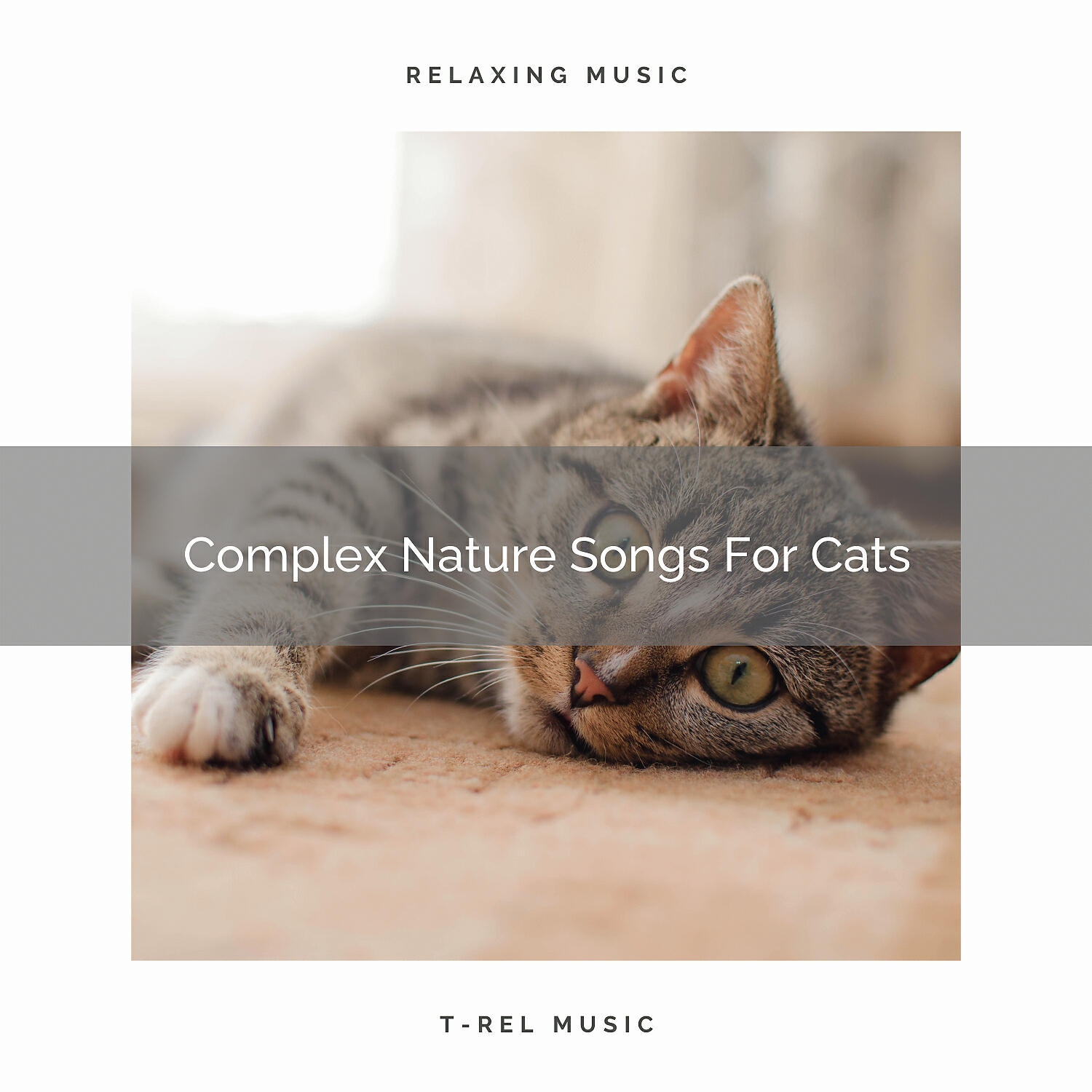 Cats Music Den - Sea Tunes Especially For Your Dear Cats