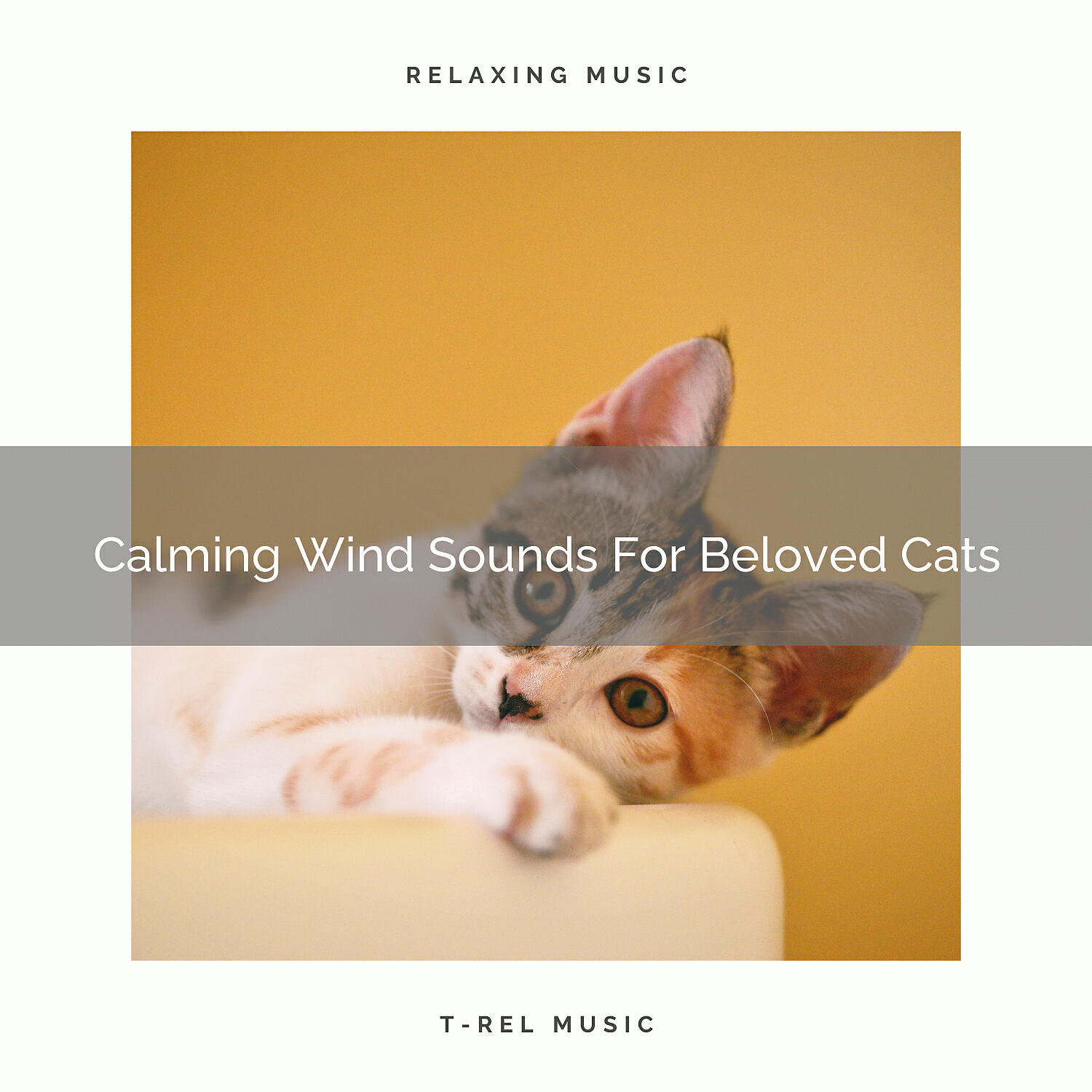 Cats Music Cradle - Calming Weather Songs For Beloved Cats