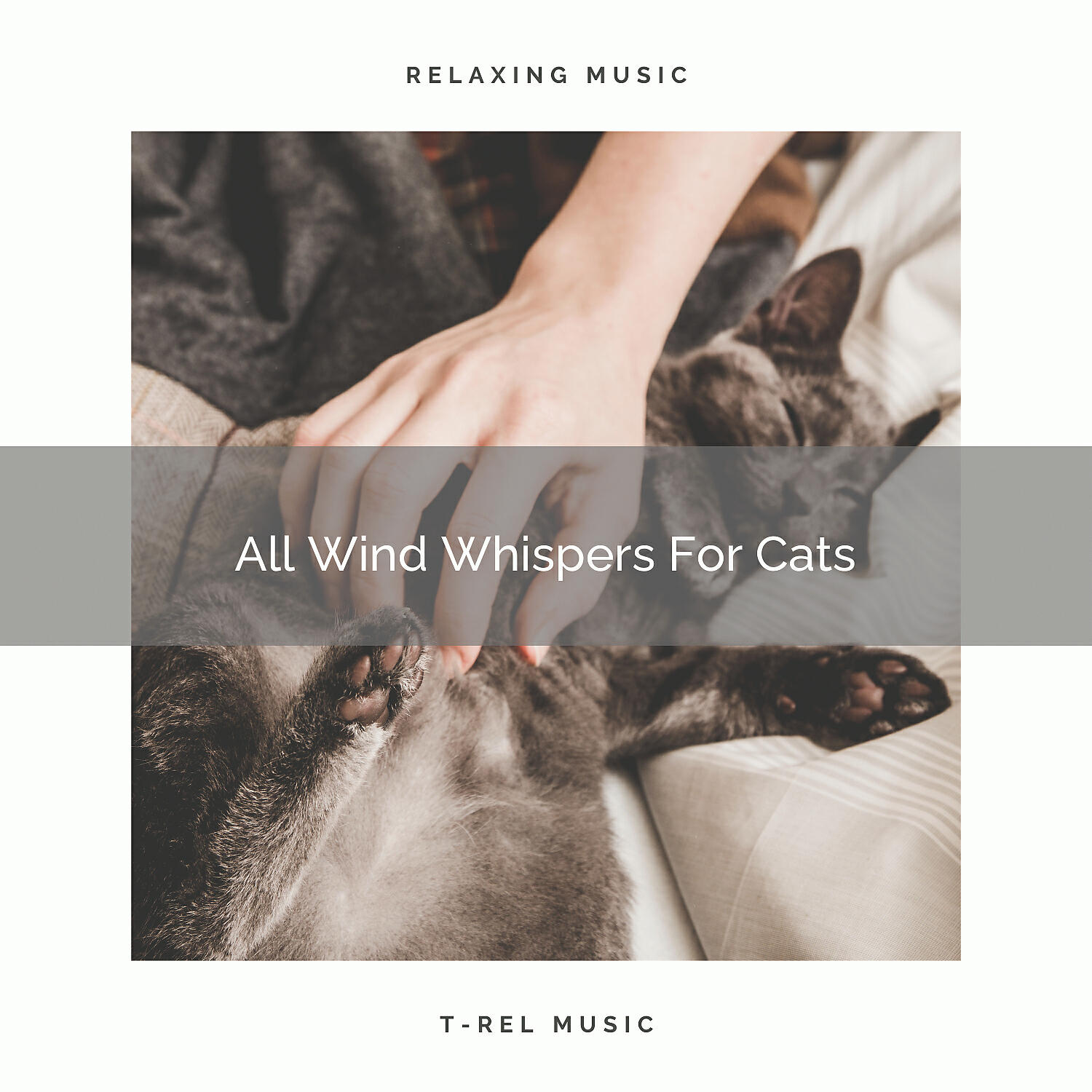 Cats Music Cradle - Calming Wind Noises Especially For Your Dear Cats