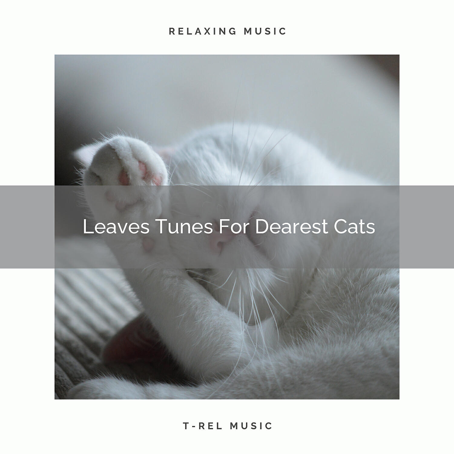 Cats Music Cradle - All Leaves Whispers Especially For Home Cats