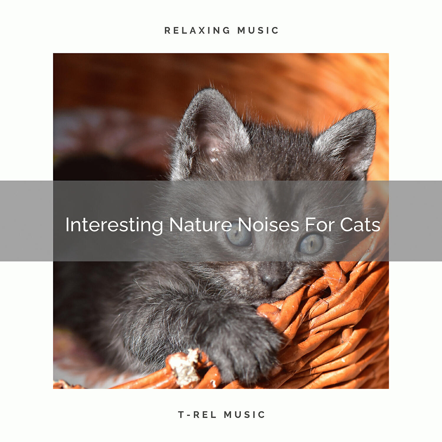 Cats Music Cradle - Relaxing Weather Tunes Especially For Home Cats