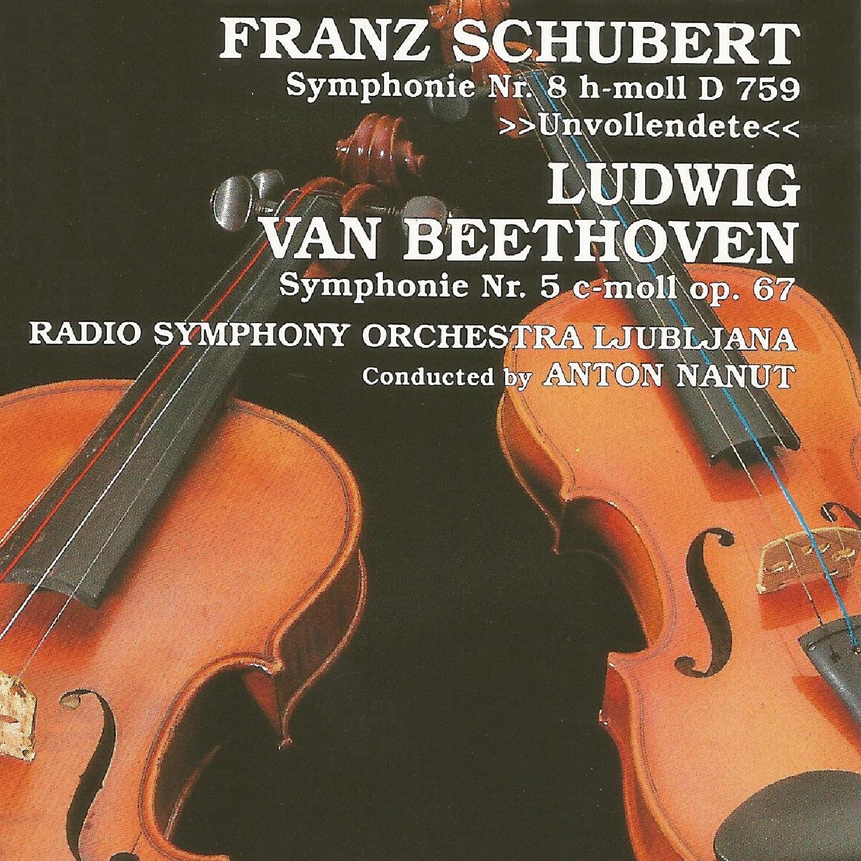 Radio Symphony Orchestra Ljubljana - Symphony No. 8 in B Minor, D. 759: I. Allegro moderato