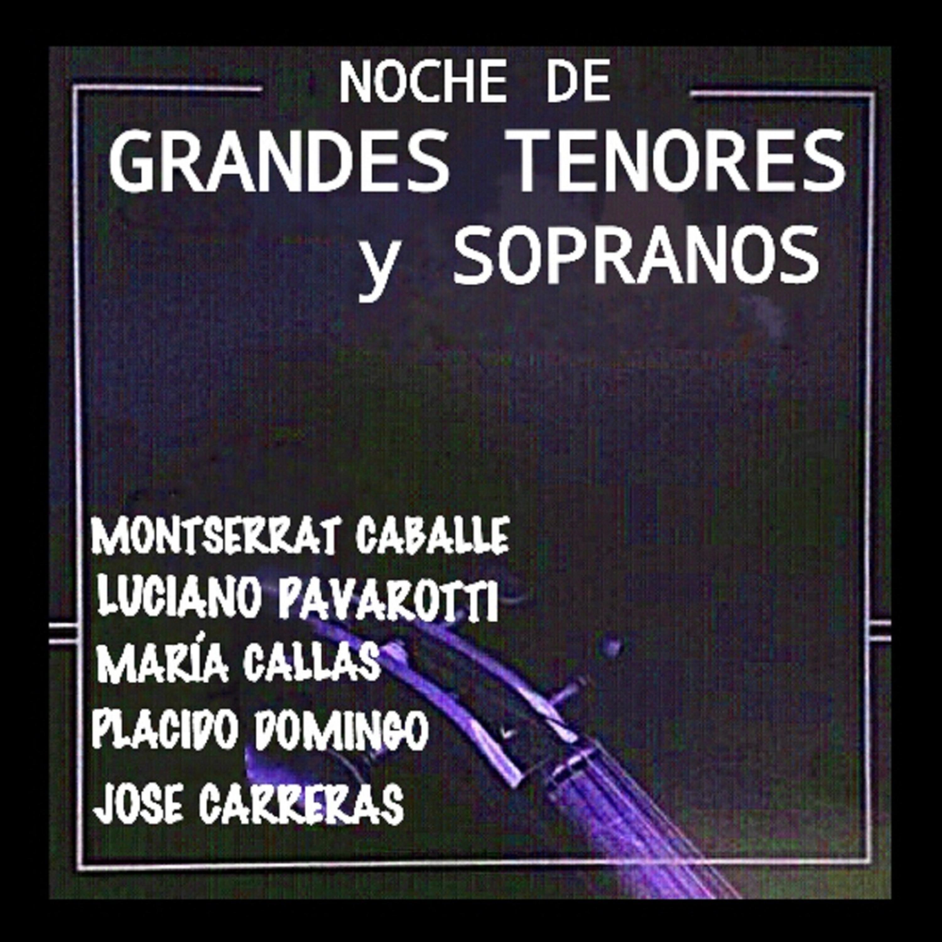 Постер альбома Noches de Grandes Tenores y Sopranos