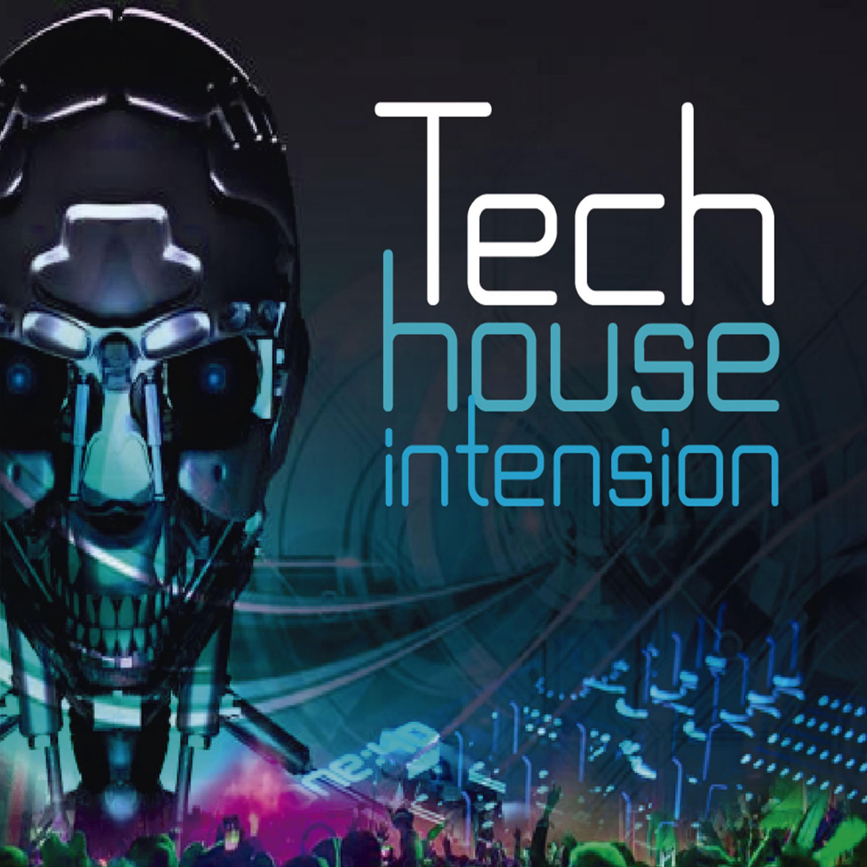 Постер альбома Tech House Intension