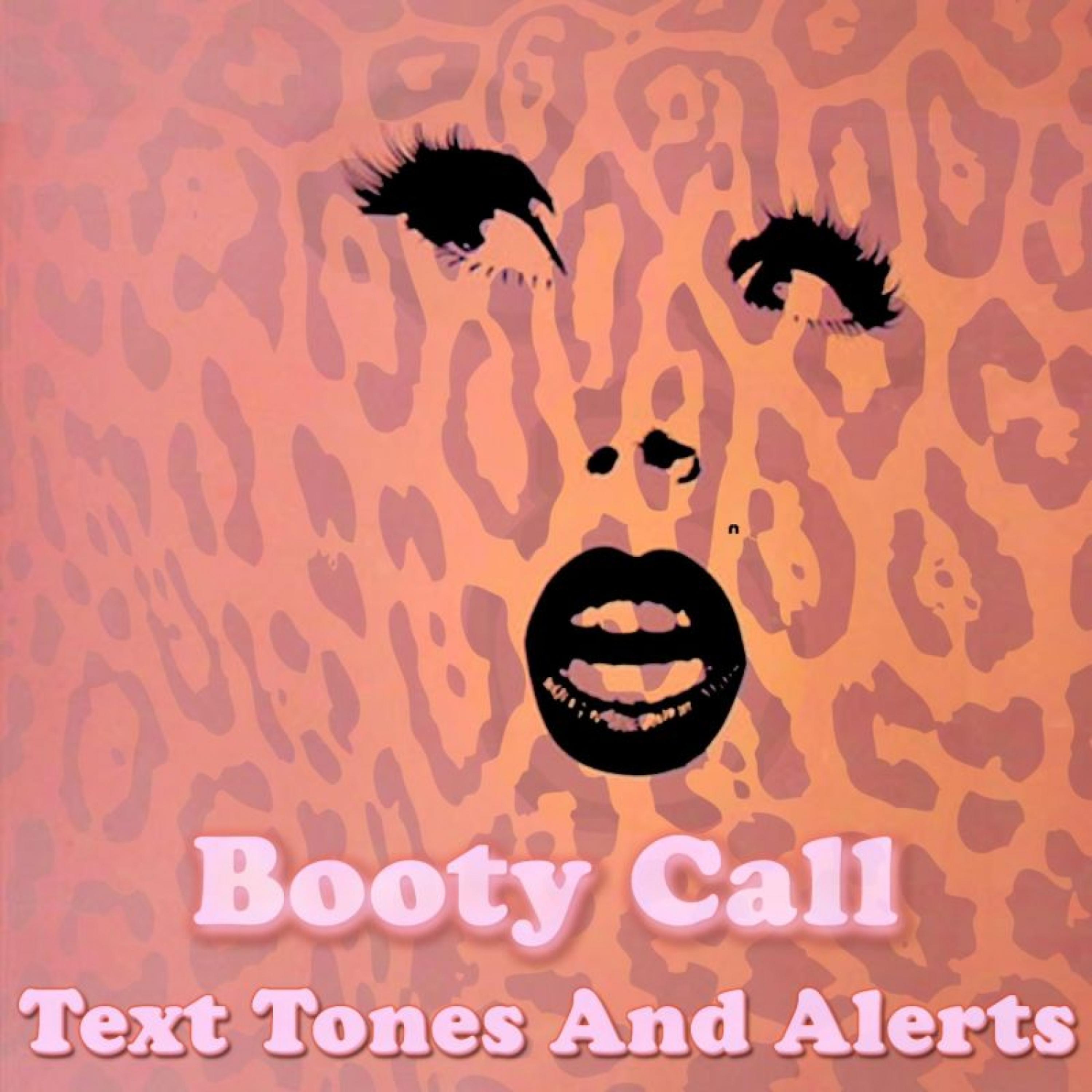 Постер альбома Booty Call Text Tones and Alerts