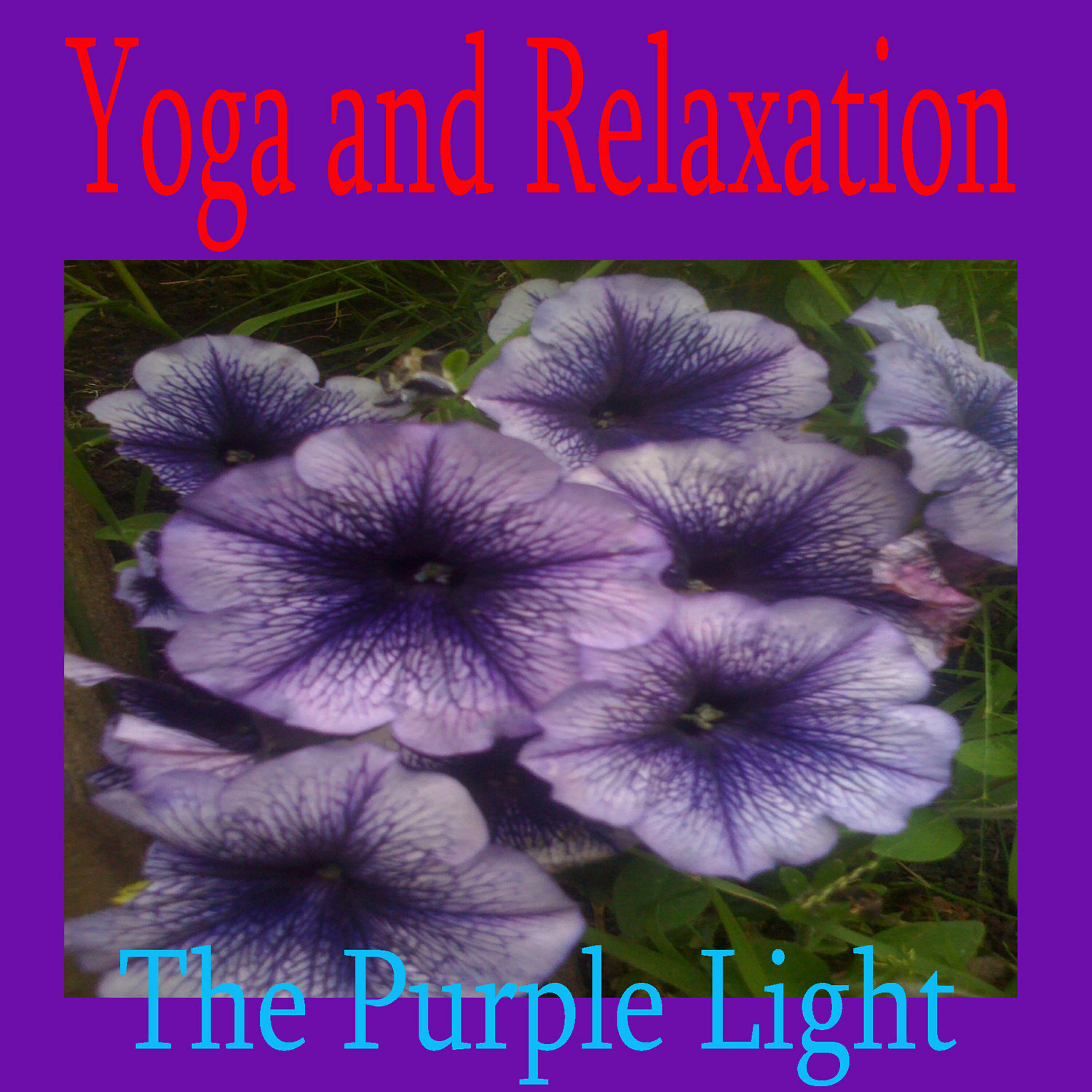 The Purple Light - Deep Yoga